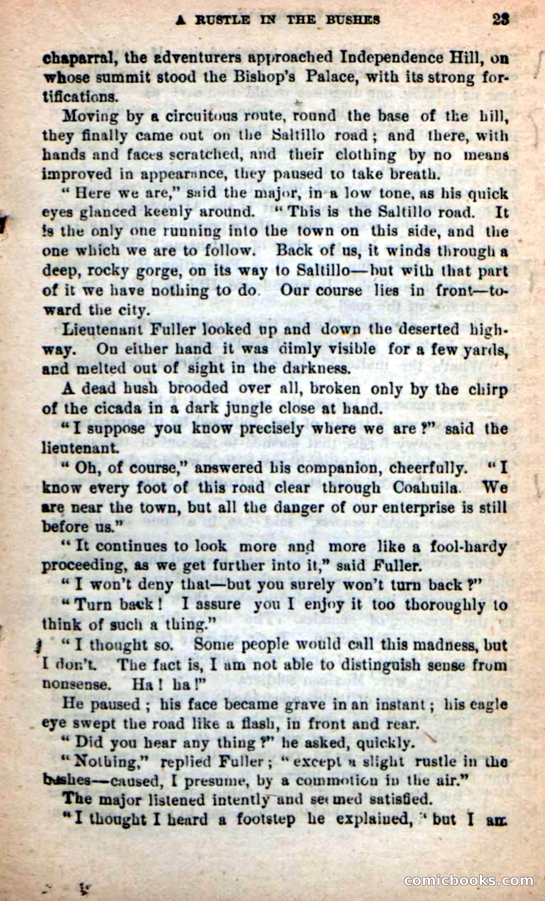 Beadle's New Dime Novels: Tippy, the Texan — page 19 of 101