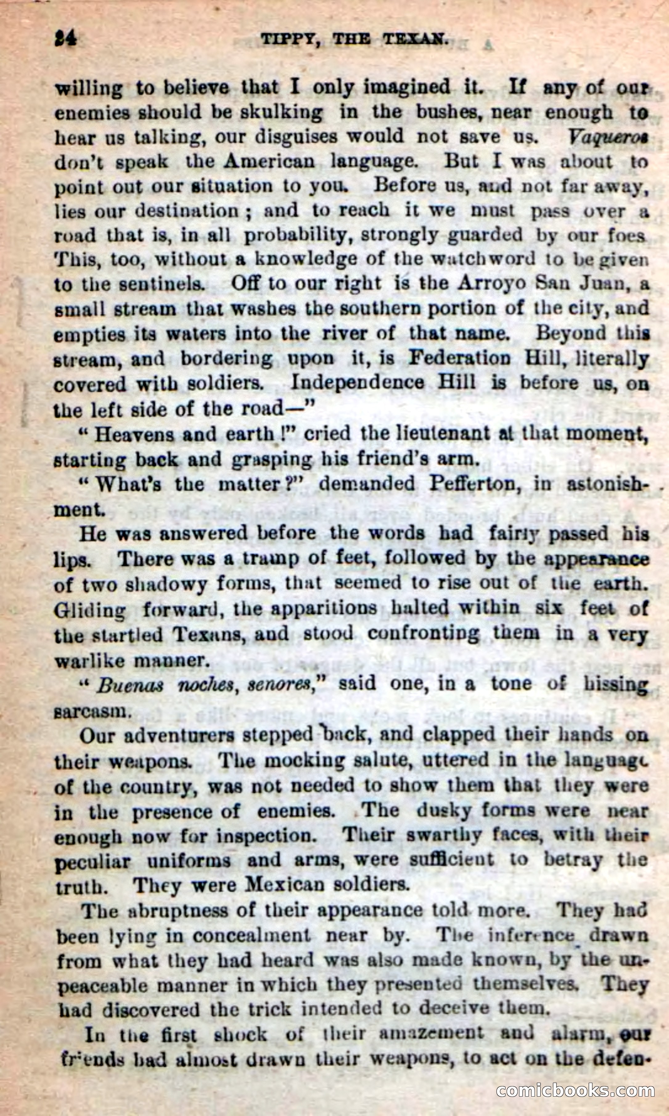 Beadle's New Dime Novels: Tippy, the Texan — page 20 of 101