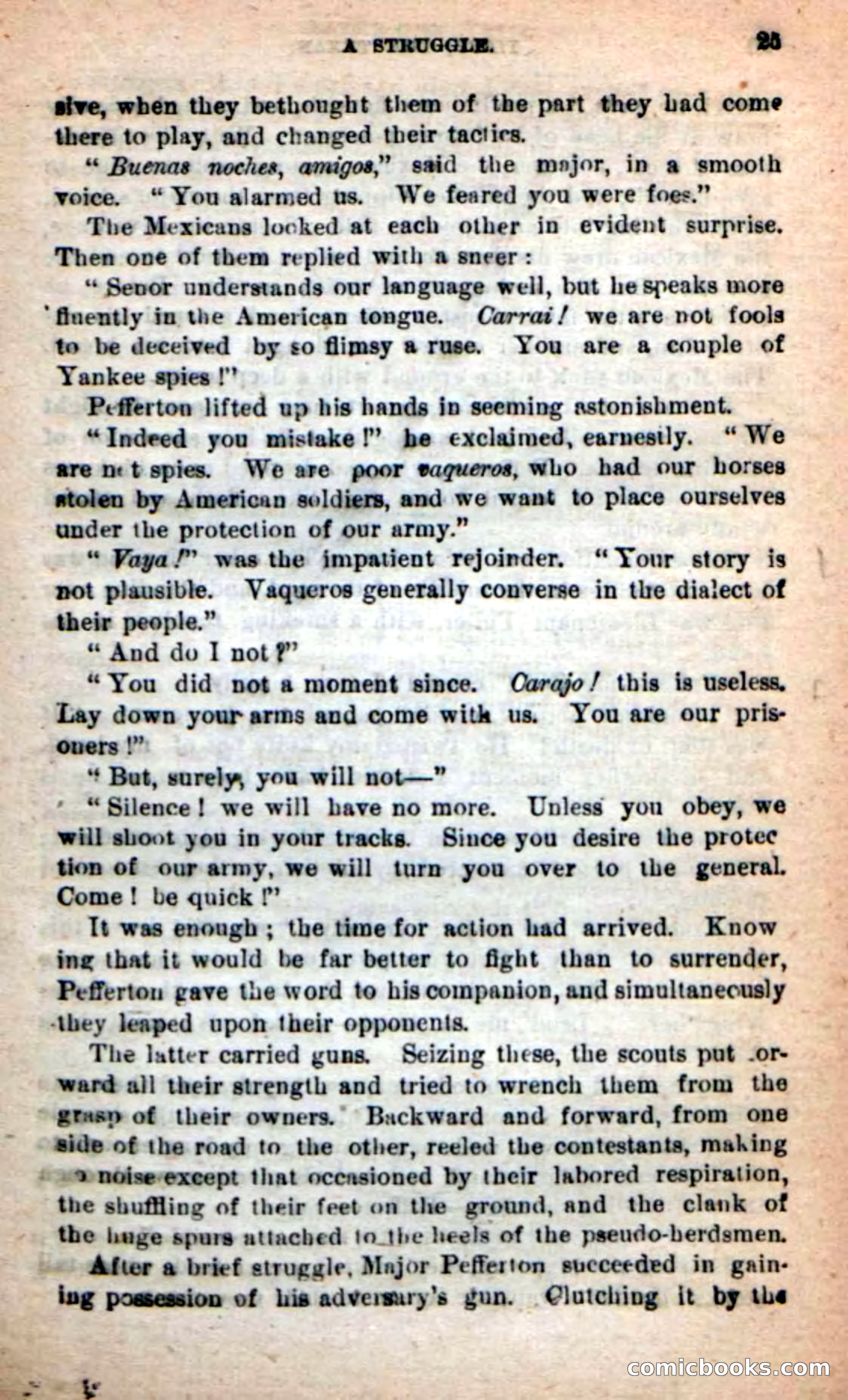 Beadle's New Dime Novels: Tippy, the Texan — page 21 of 101