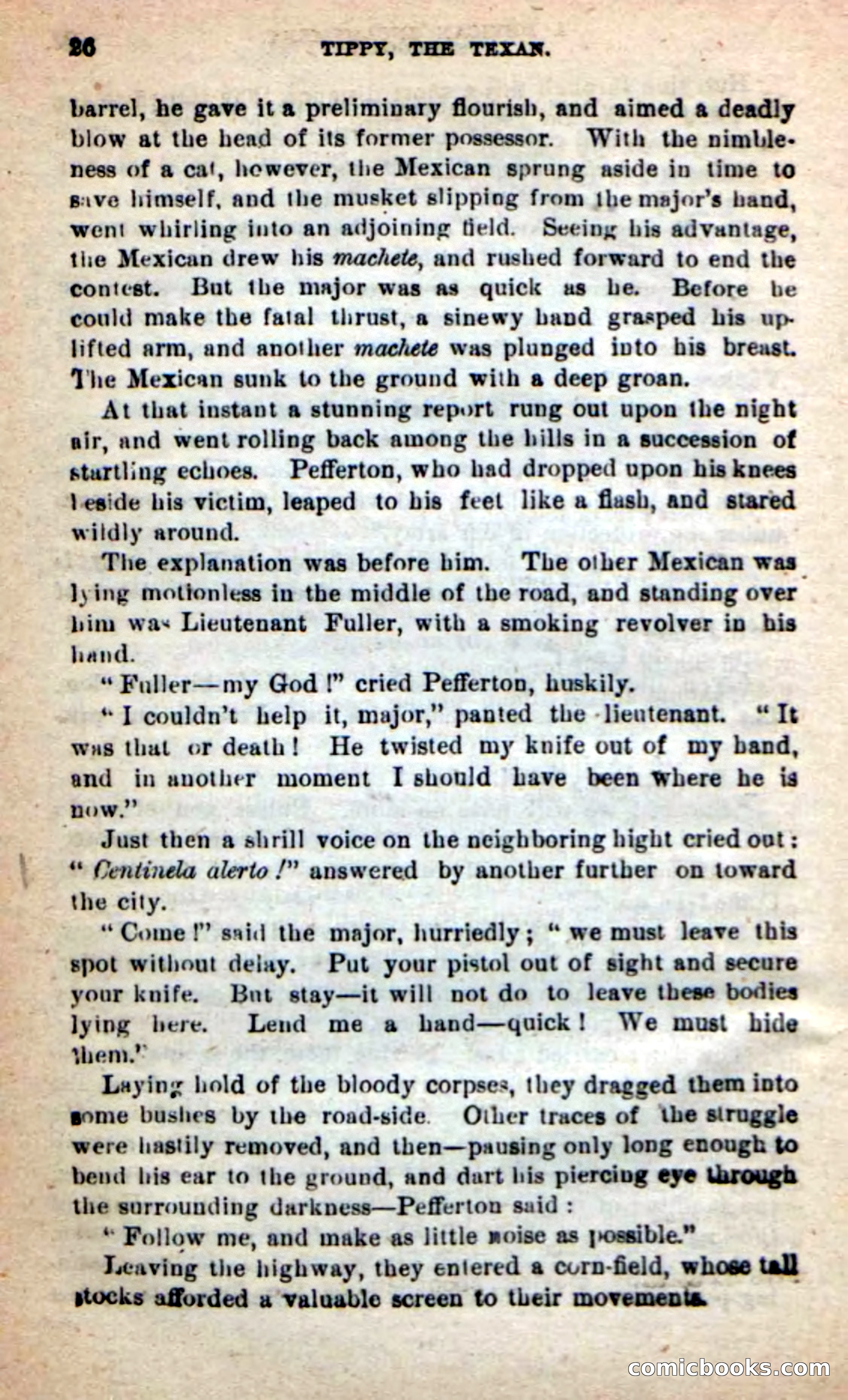 Beadle's New Dime Novels: Tippy, the Texan — page 22 of 101