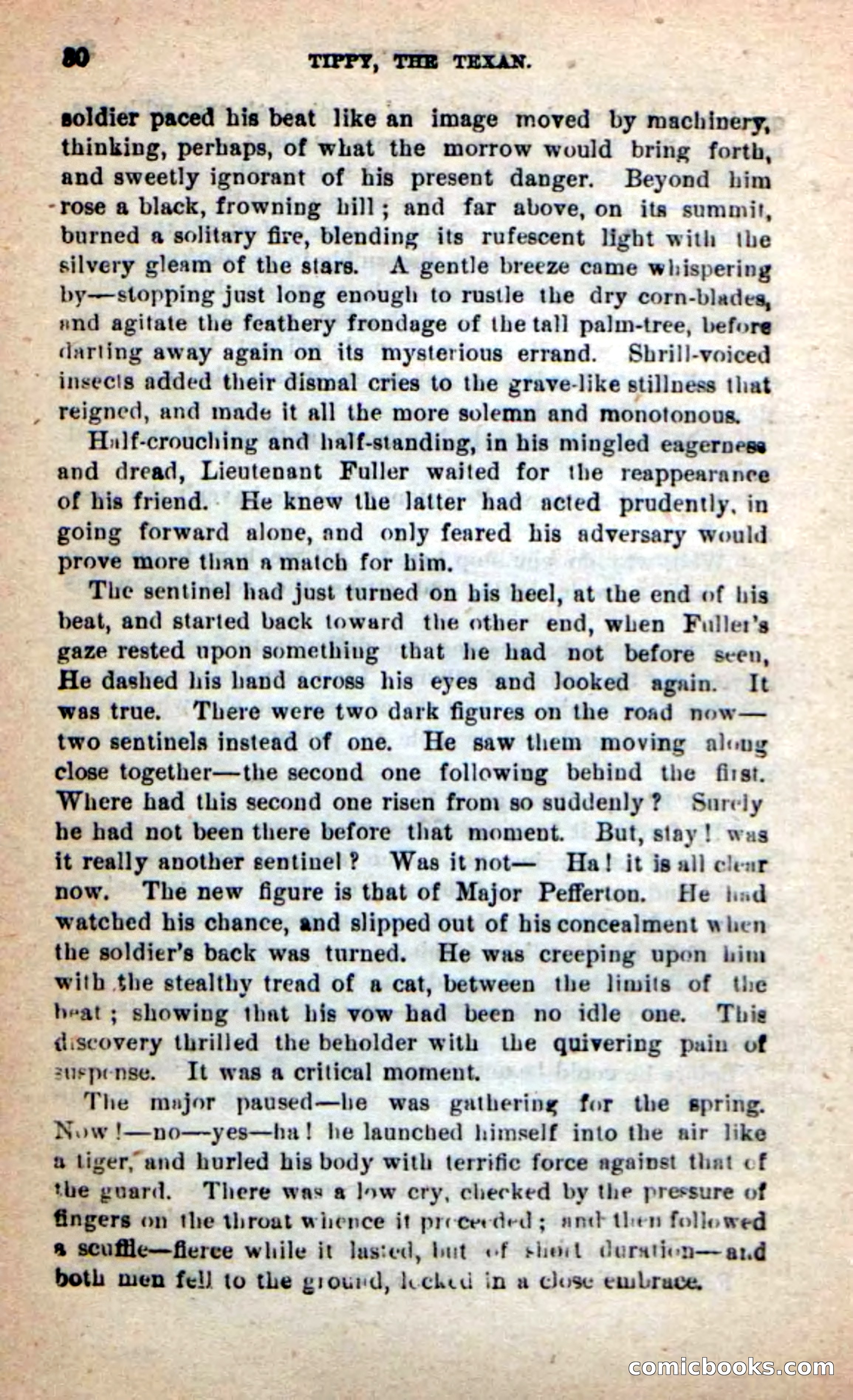 Beadle's New Dime Novels: Tippy, the Texan — page 26 of 101