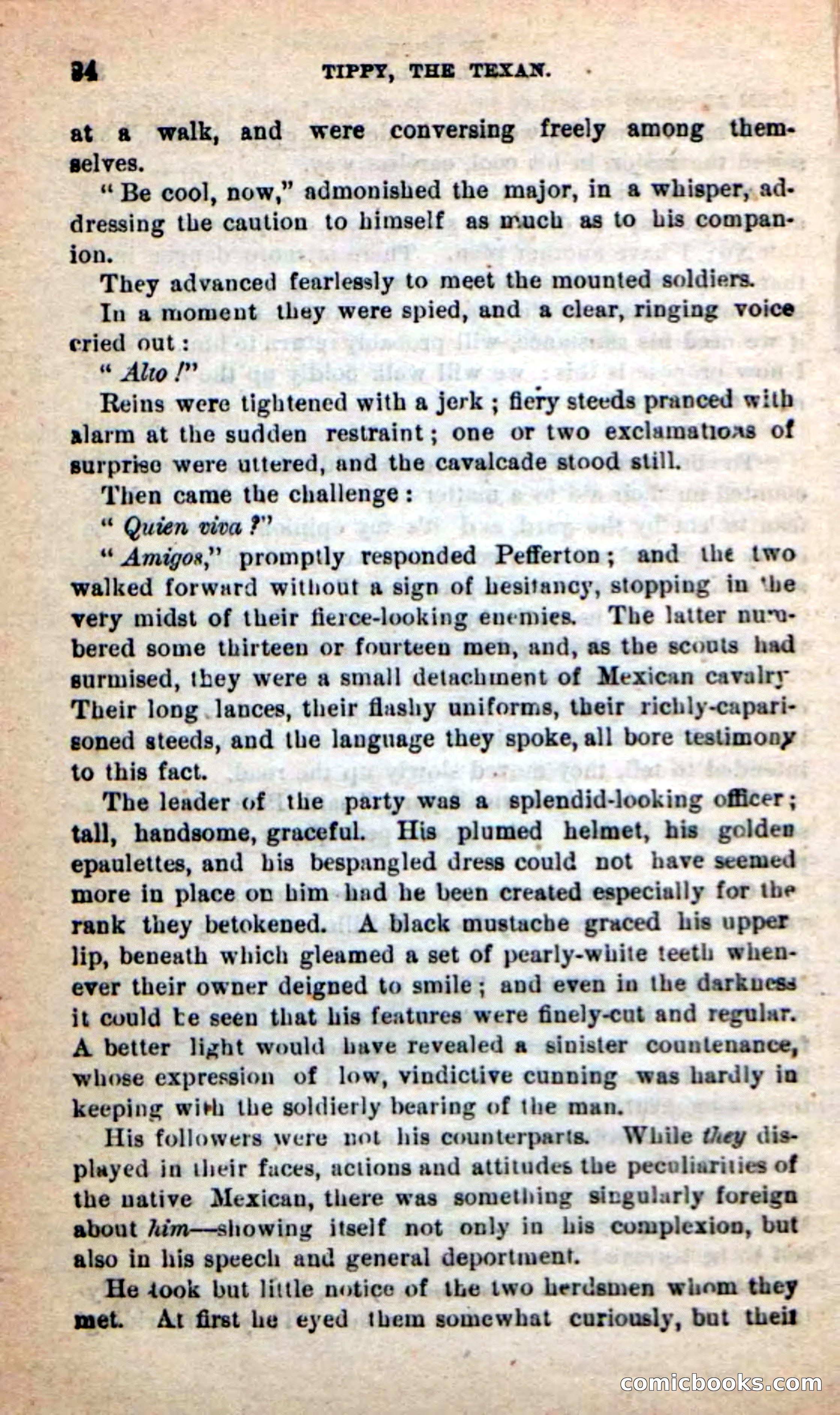 Beadle's New Dime Novels: Tippy, the Texan — page 30 of 101