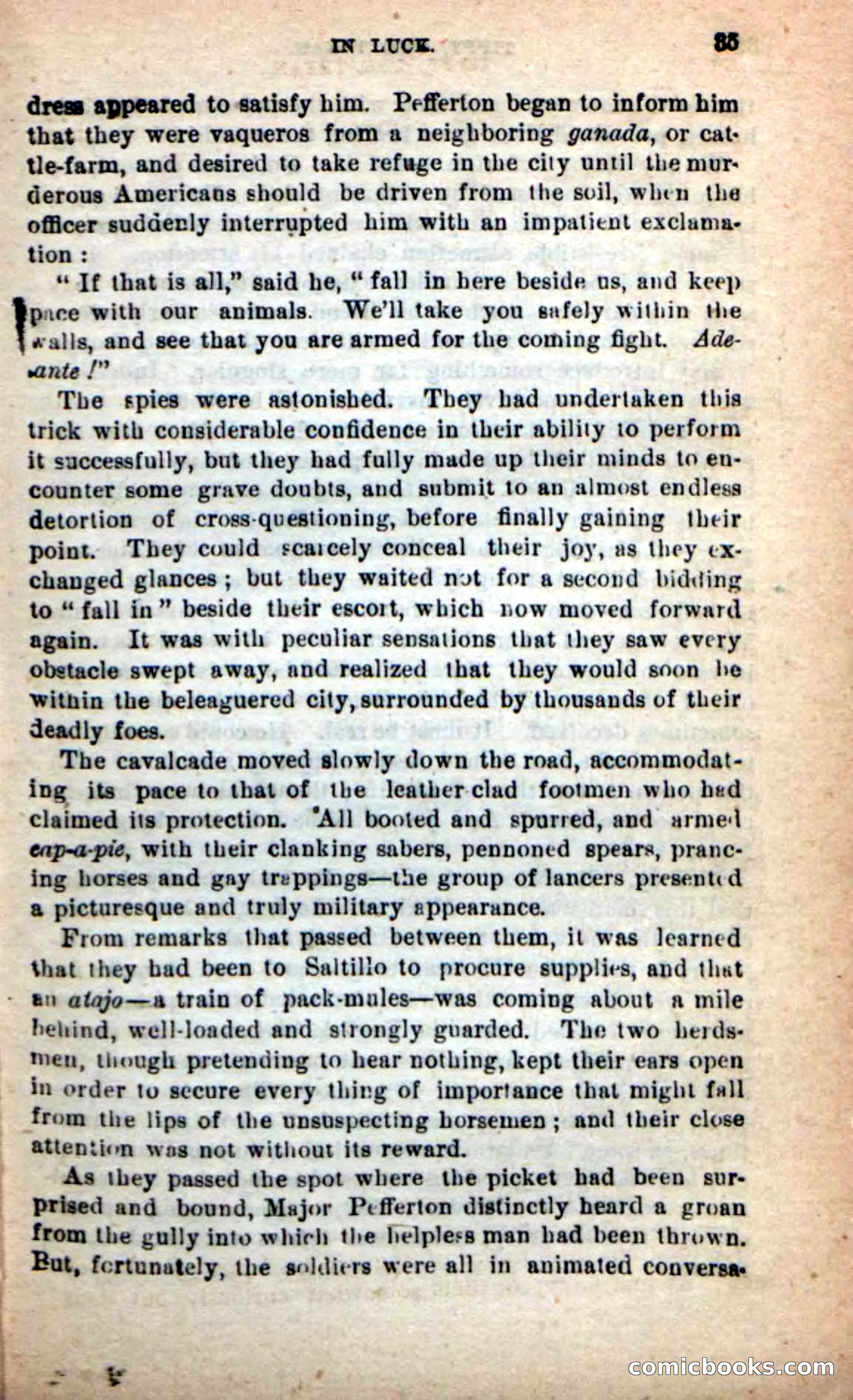 Beadle's New Dime Novels: Tippy, the Texan — page 31 of 101