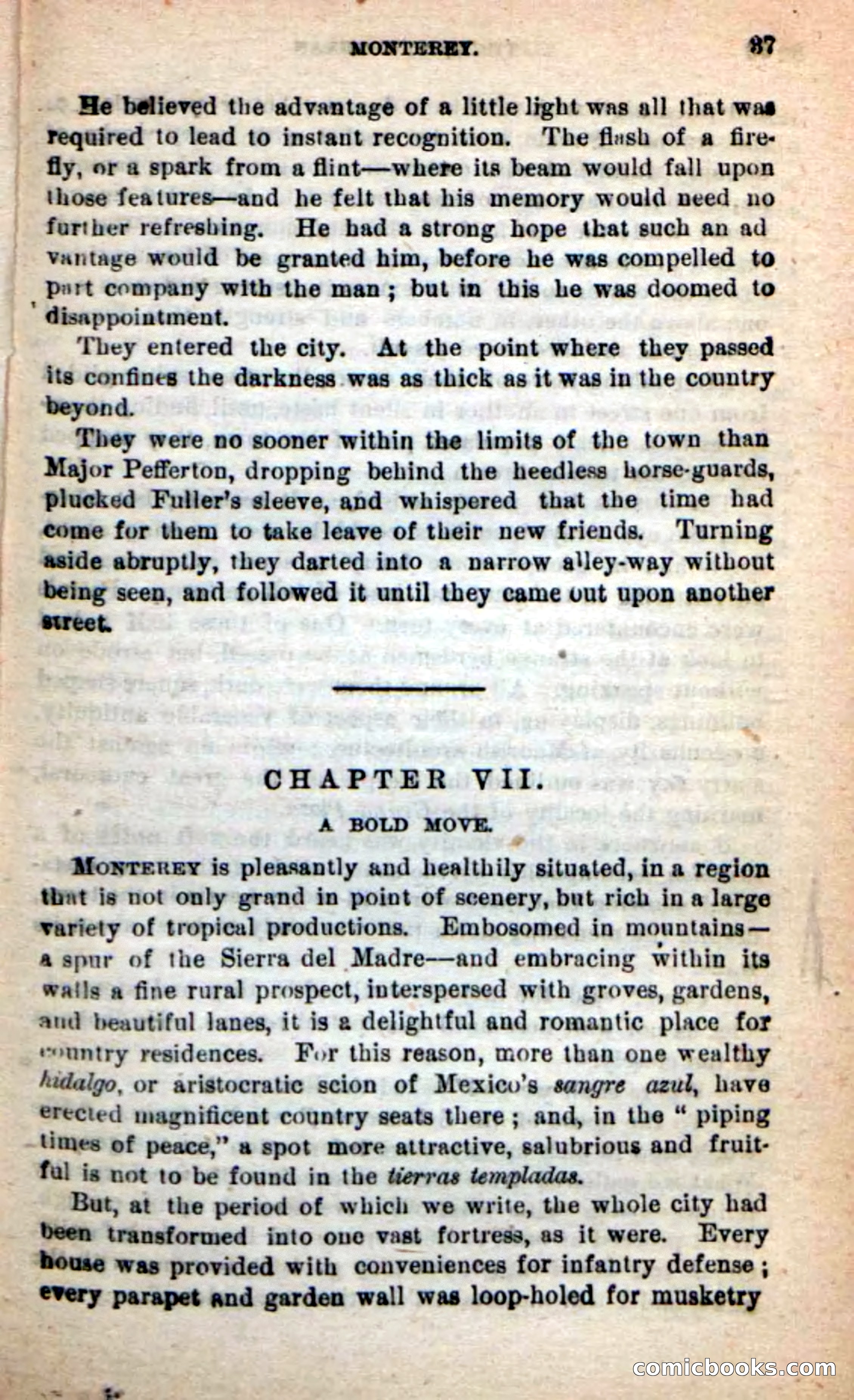 Beadle's New Dime Novels: Tippy, the Texan — page 33 of 101