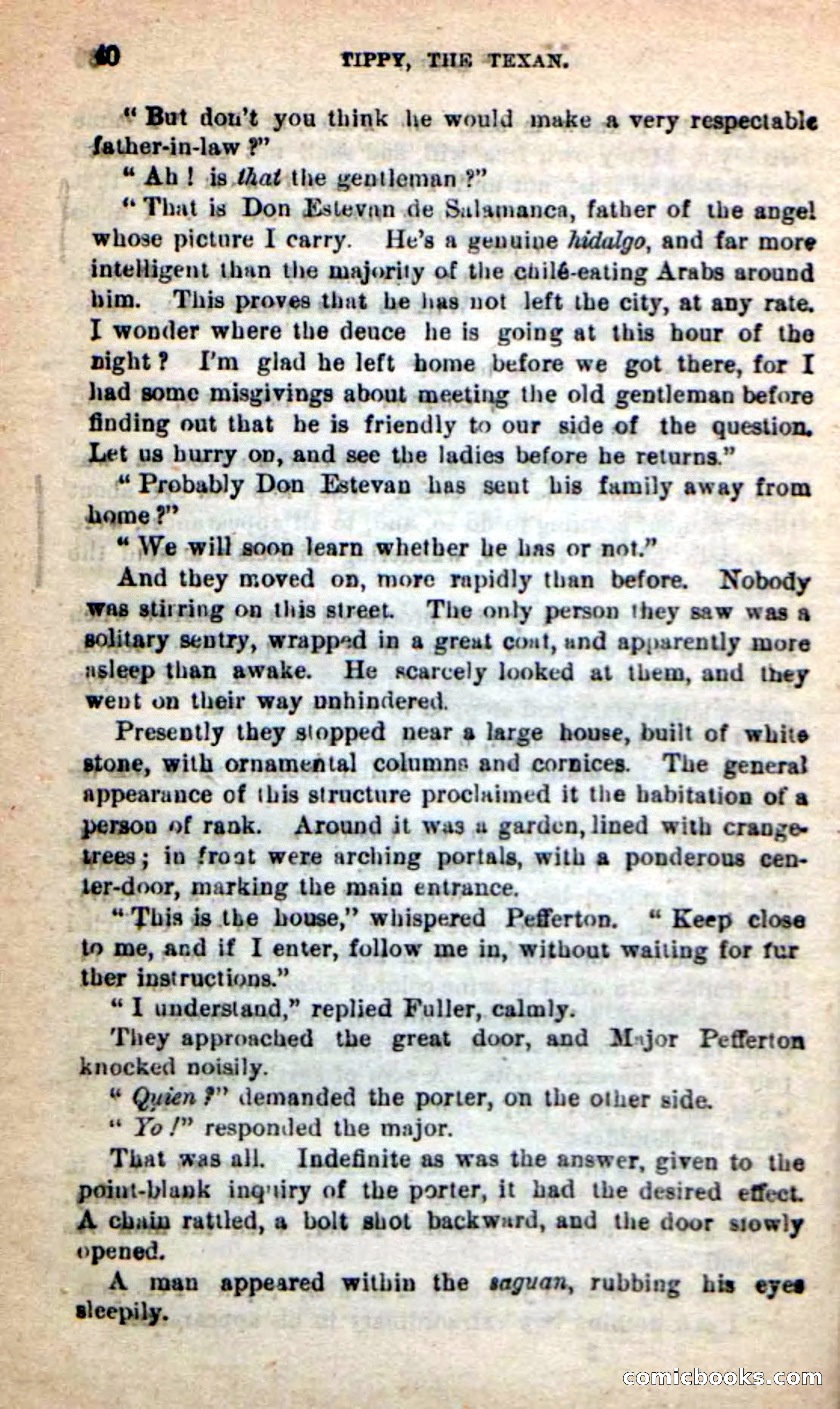 Beadle's New Dime Novels: Tippy, the Texan — page 36 of 101