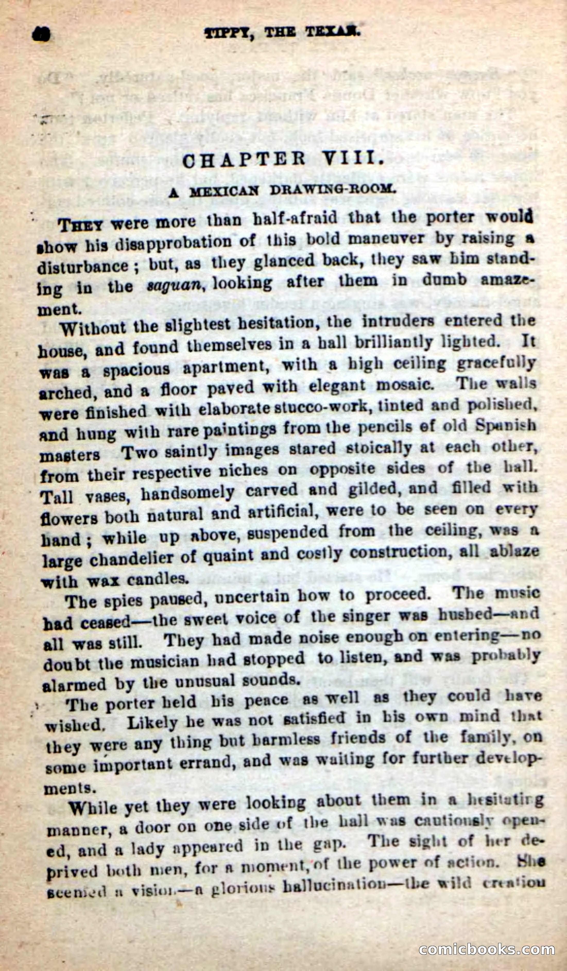 Beadle's New Dime Novels: Tippy, the Texan — page 38 of 101