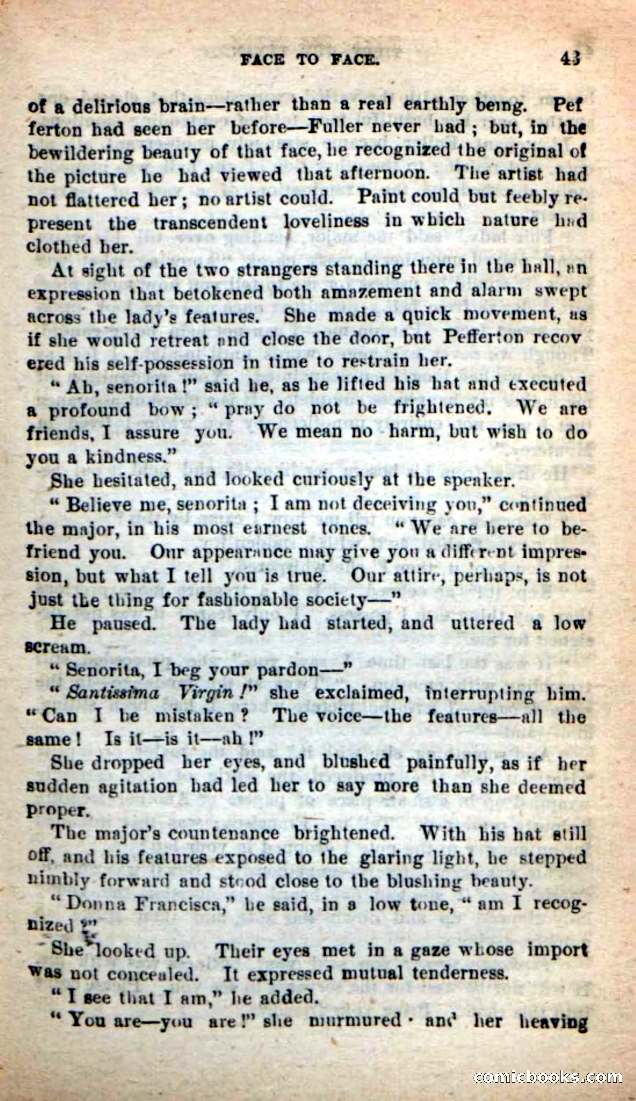 Beadle's New Dime Novels: Tippy, the Texan — page 39 of 101