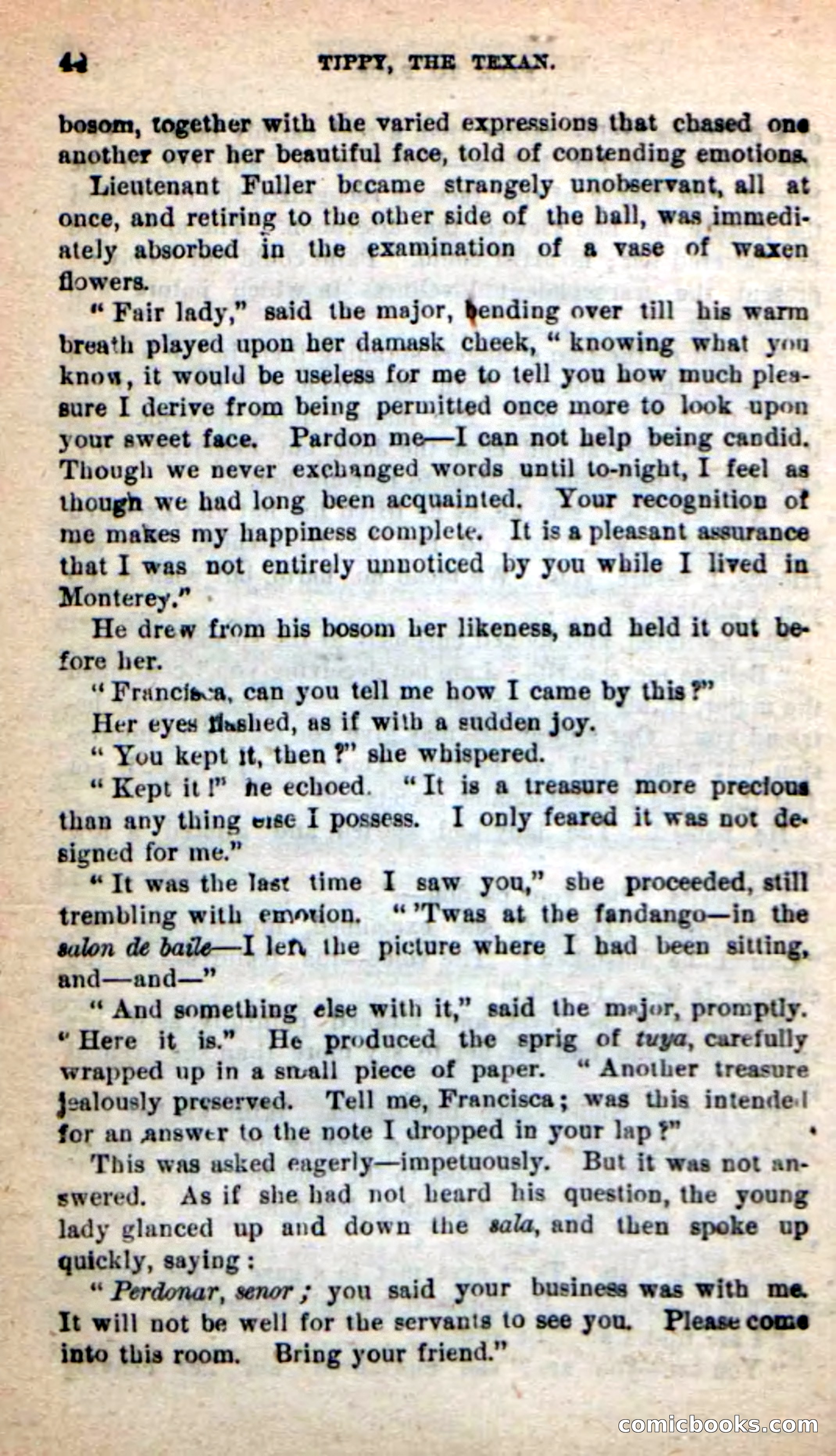 Beadle's New Dime Novels: Tippy, the Texan — page 40 of 101