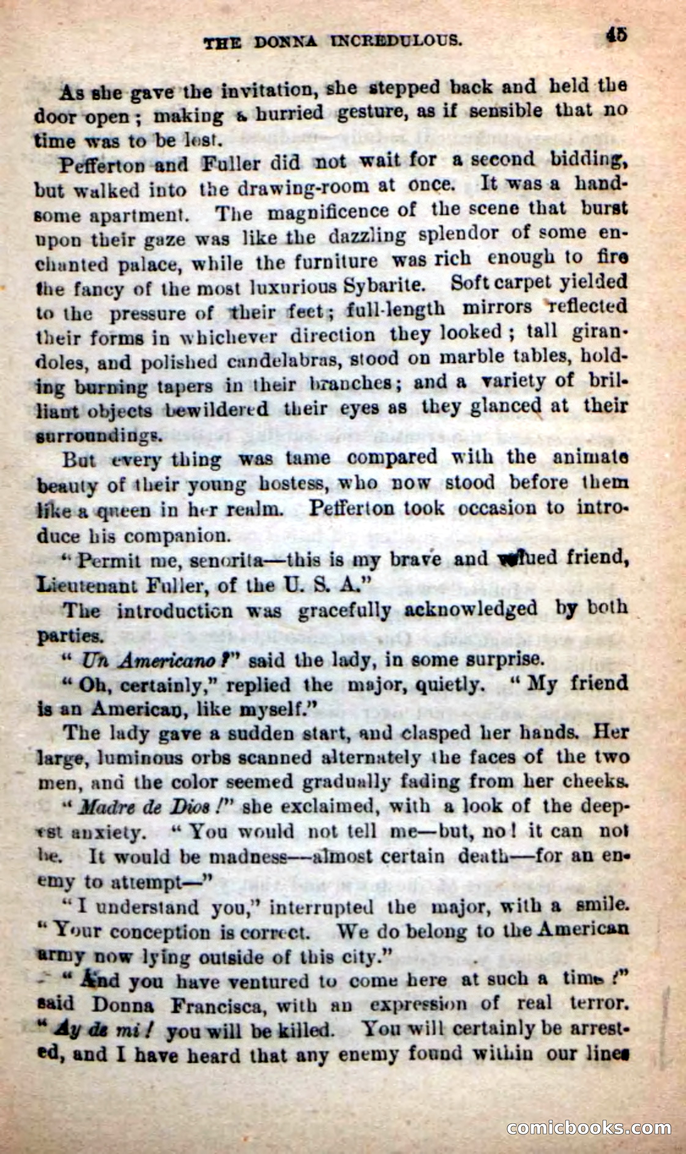 Beadle's New Dime Novels: Tippy, the Texan — page 41 of 101