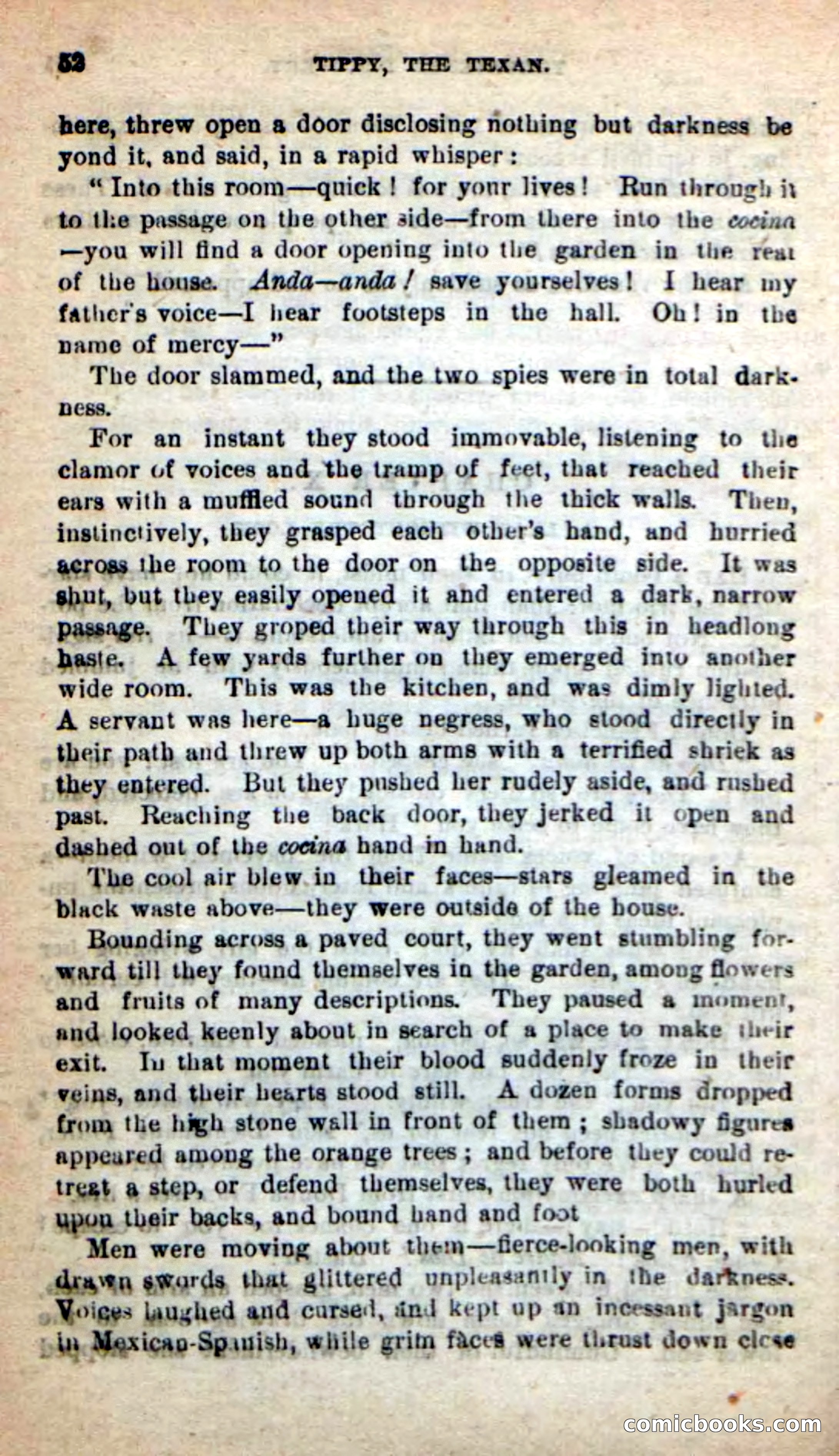 Beadle's New Dime Novels: Tippy, the Texan — page 49 of 101