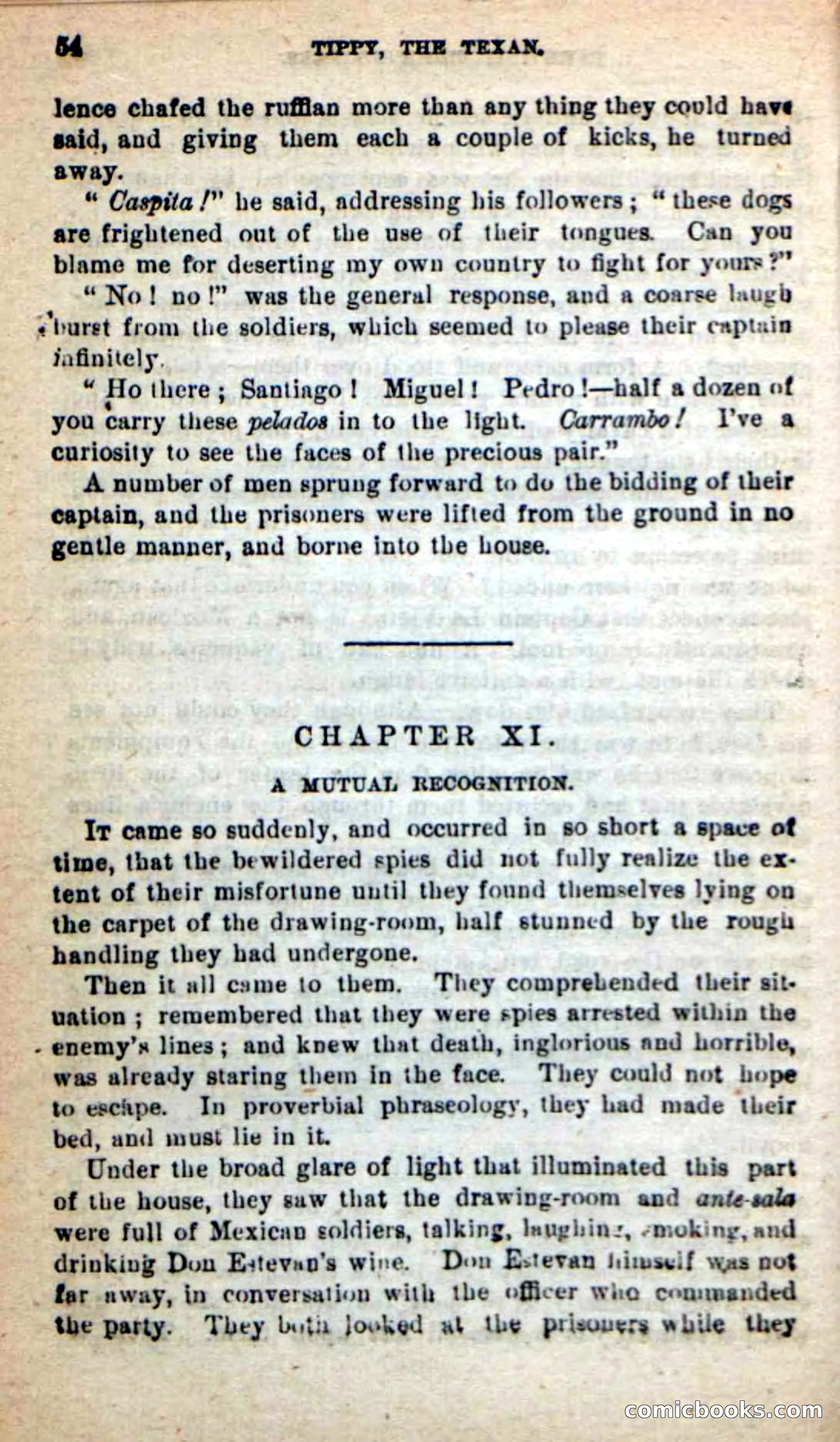 Beadle's New Dime Novels: Tippy, the Texan — page 51 of 101