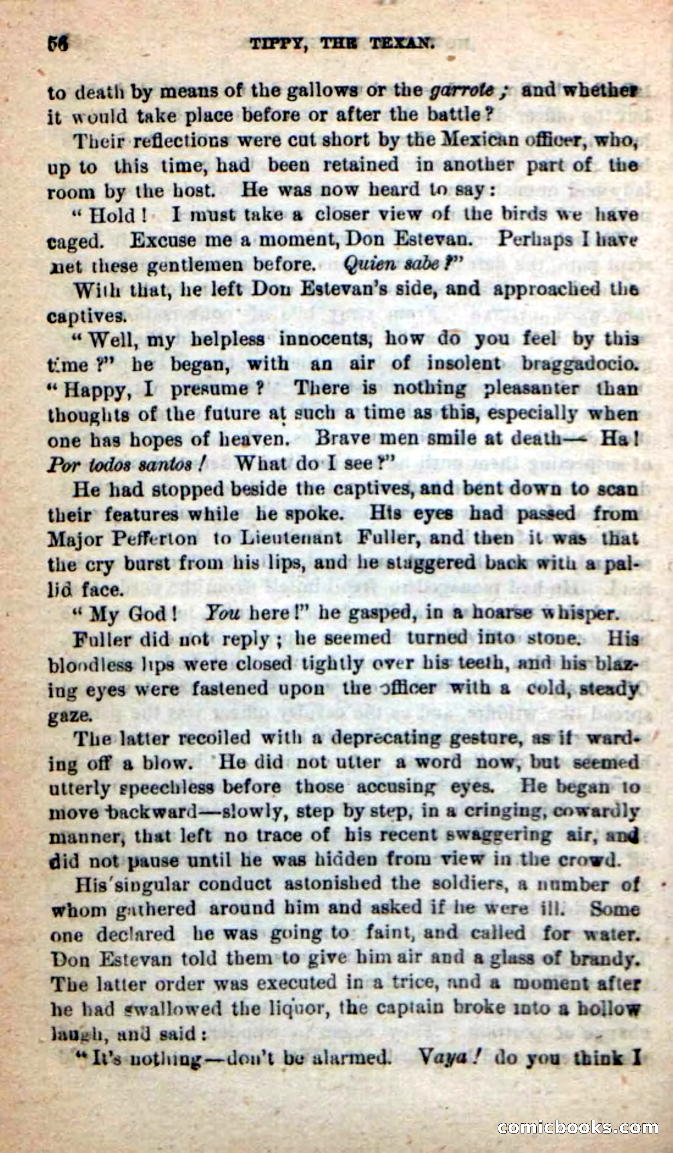 Beadle's New Dime Novels: Tippy, the Texan — page 53 of 101