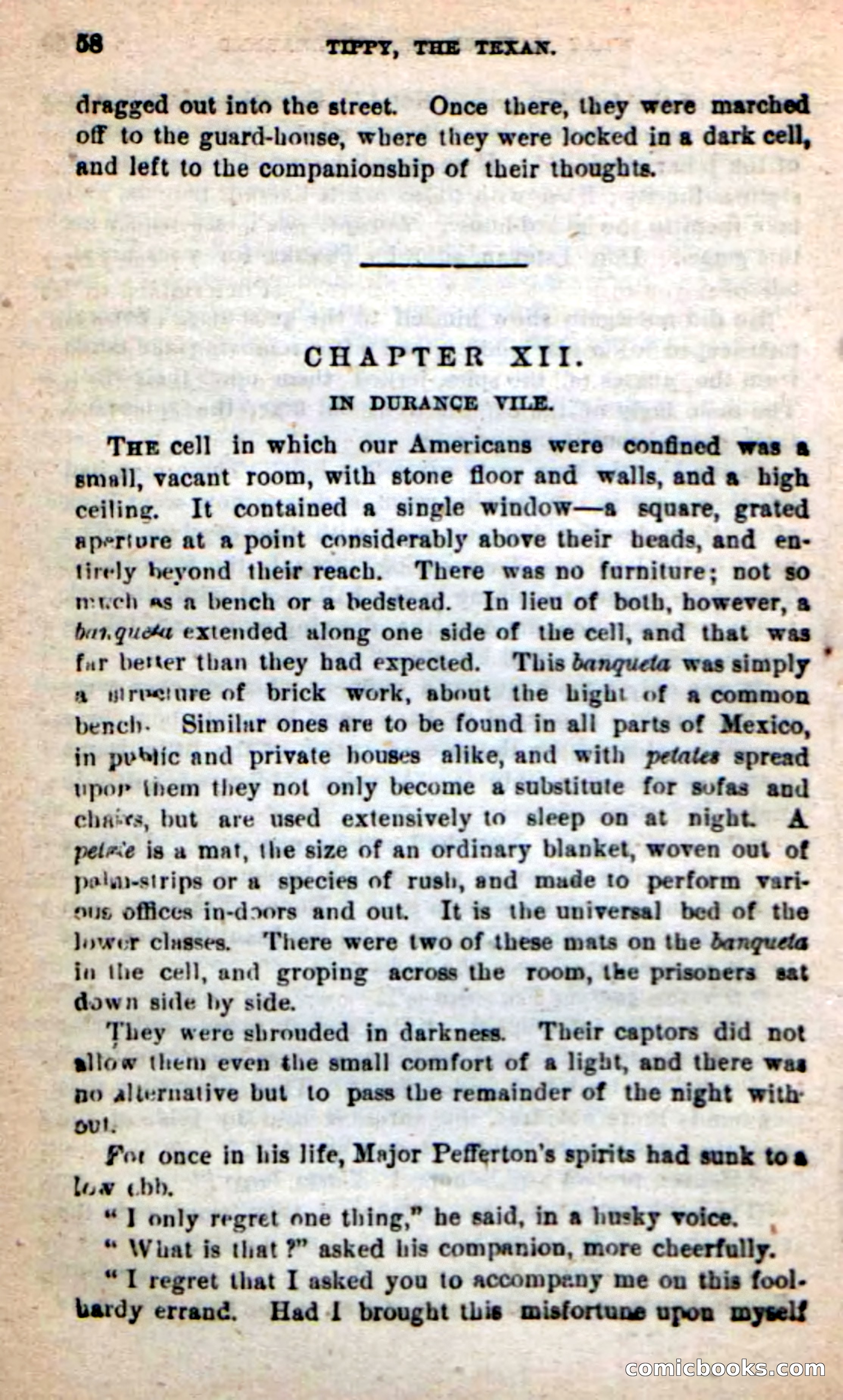 Beadle's New Dime Novels: Tippy, the Texan — page 55 of 101