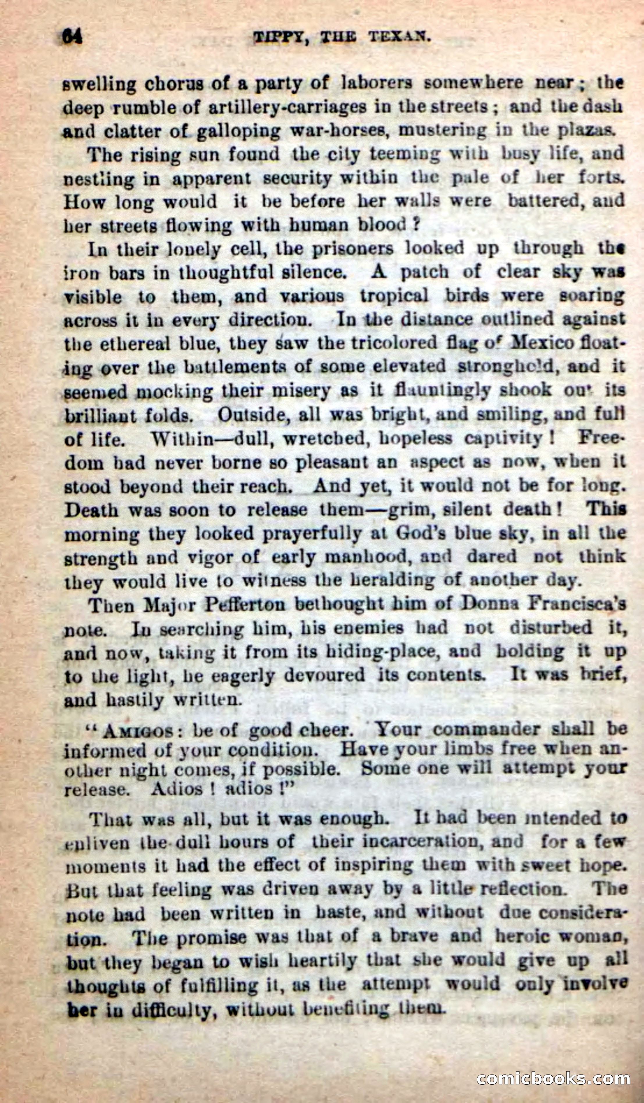 Beadle's New Dime Novels: Tippy, the Texan — page 61 of 101