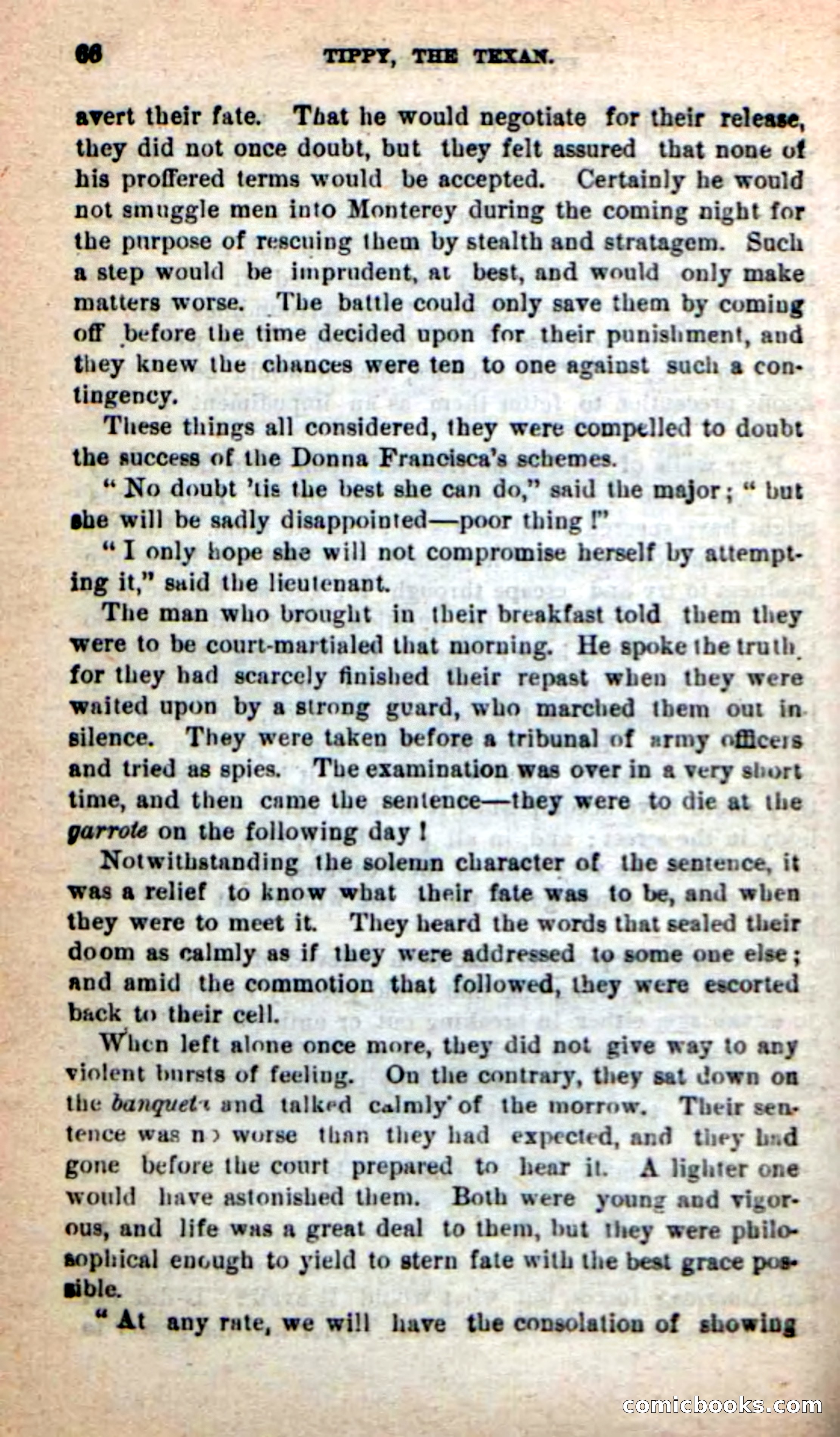 Beadle's New Dime Novels: Tippy, the Texan — page 63 of 101