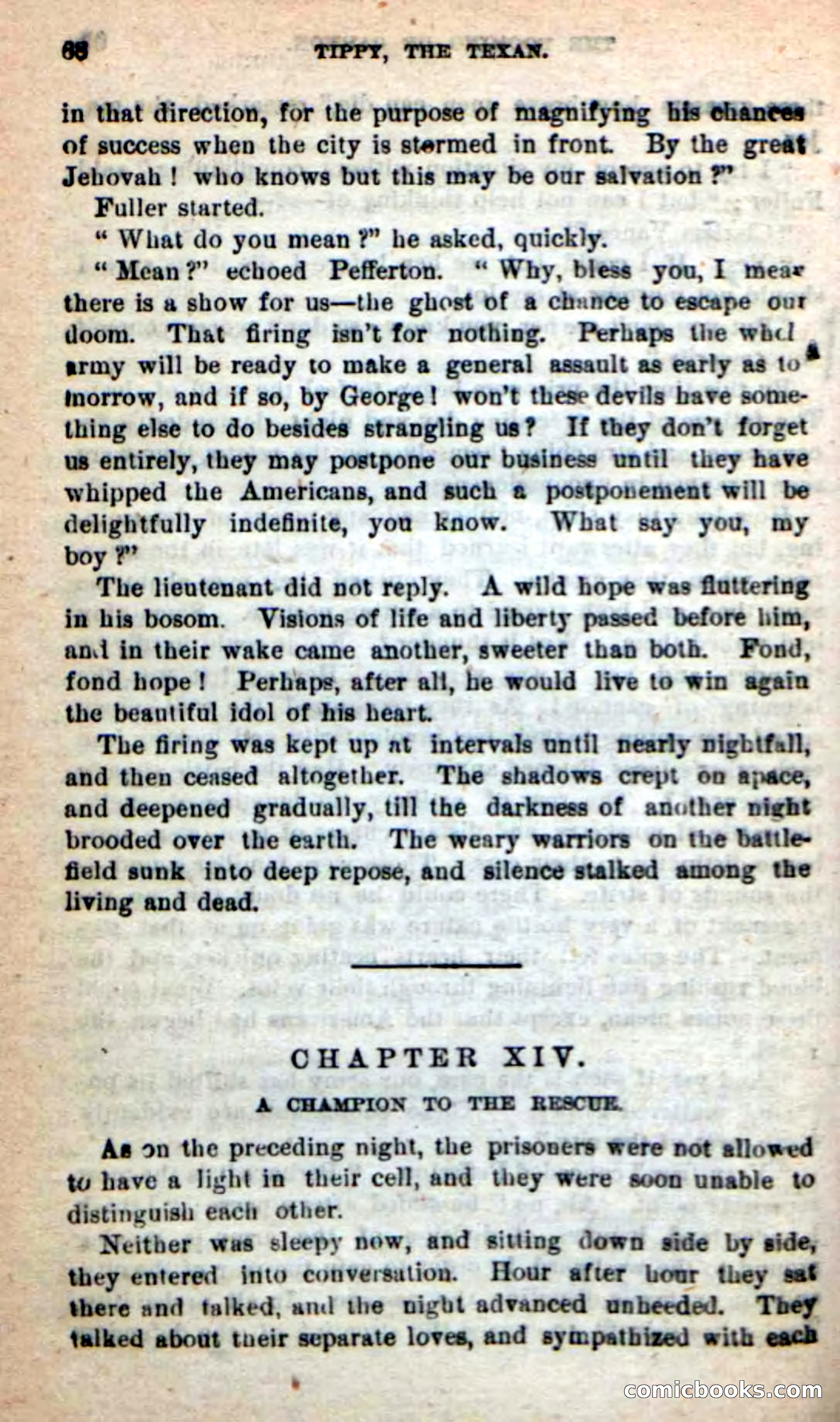 Beadle's New Dime Novels: Tippy, the Texan — page 65 of 101
