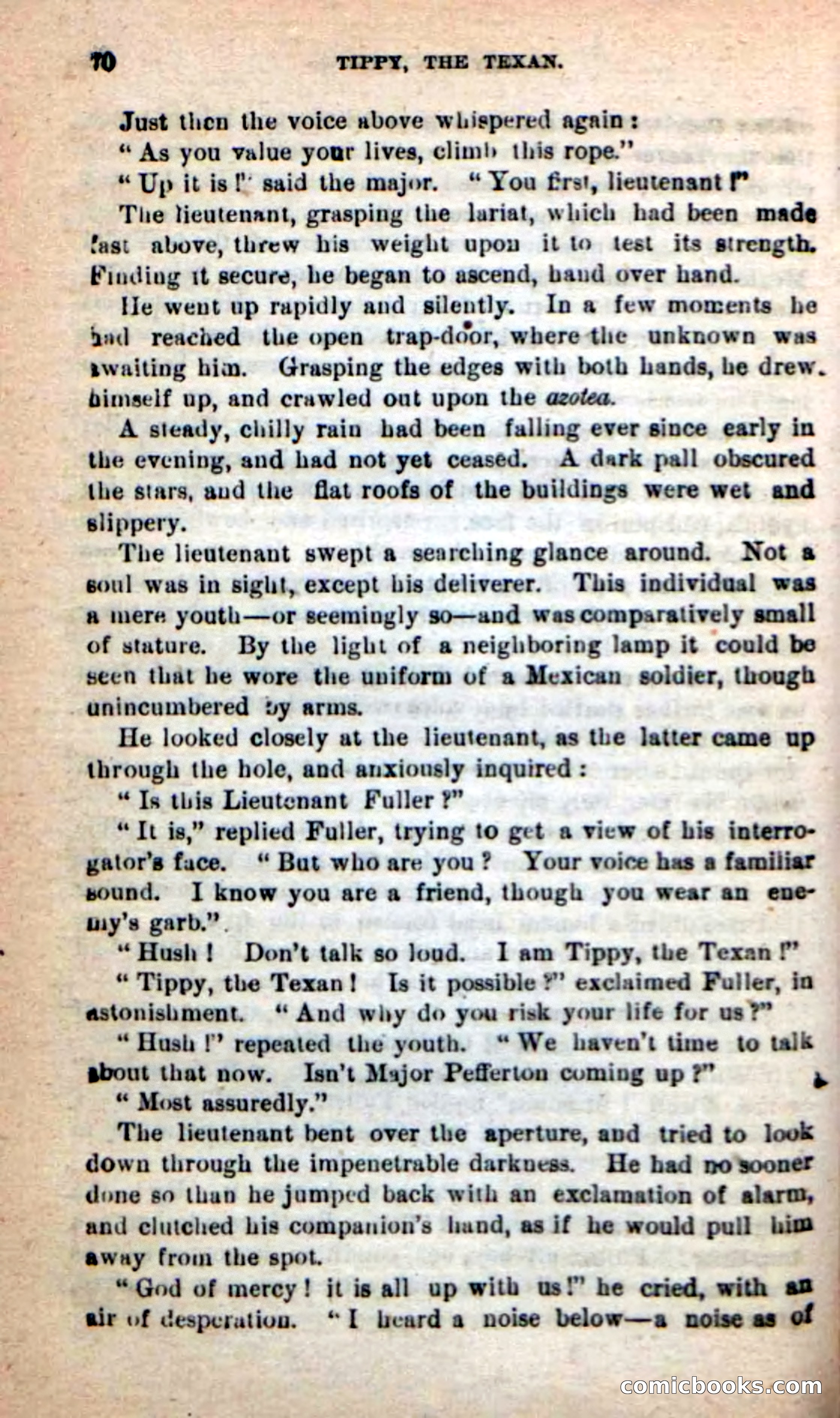 Beadle's New Dime Novels: Tippy, the Texan — page 67 of 101