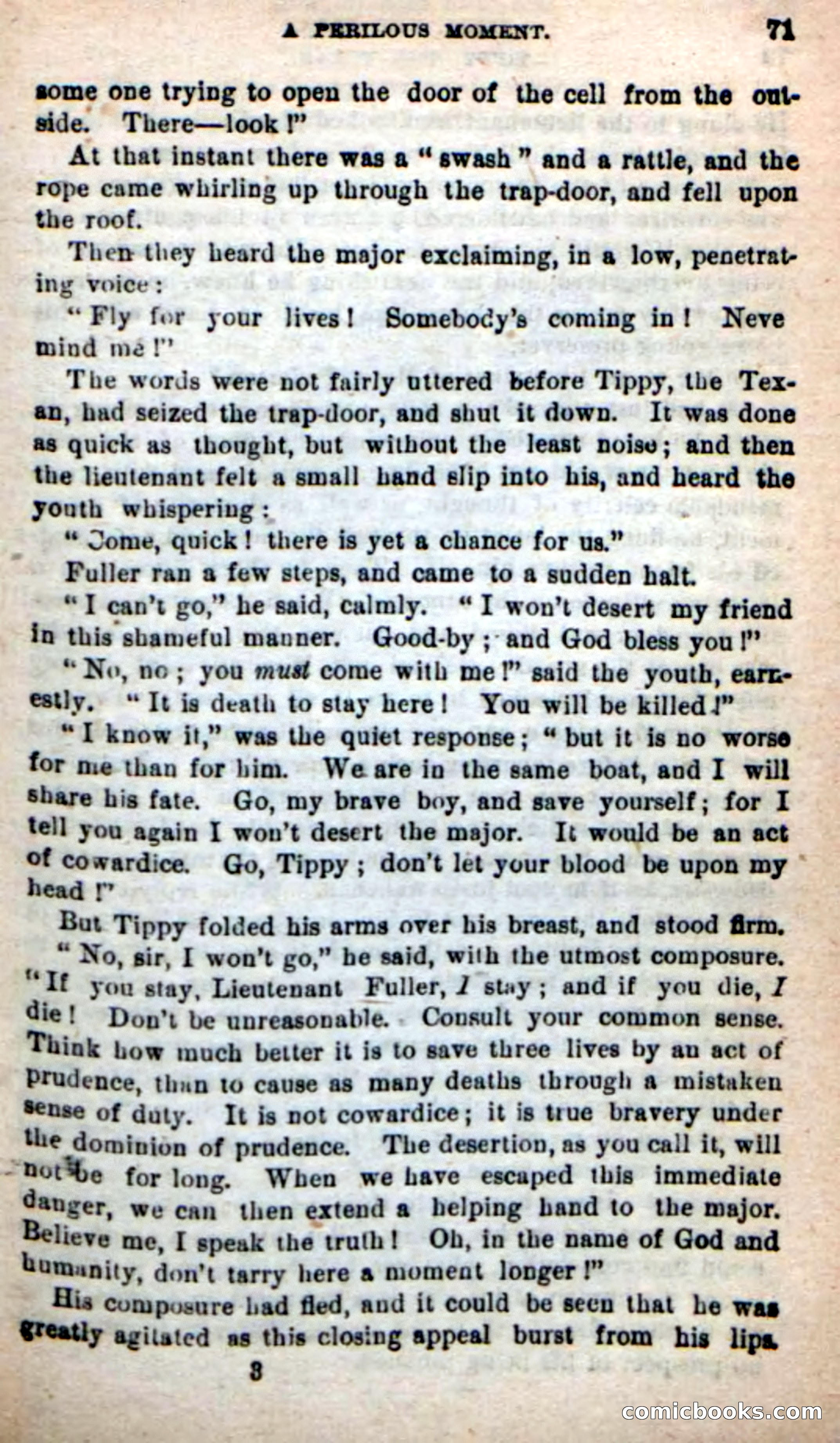 Beadle's New Dime Novels: Tippy, the Texan — page 68 of 101