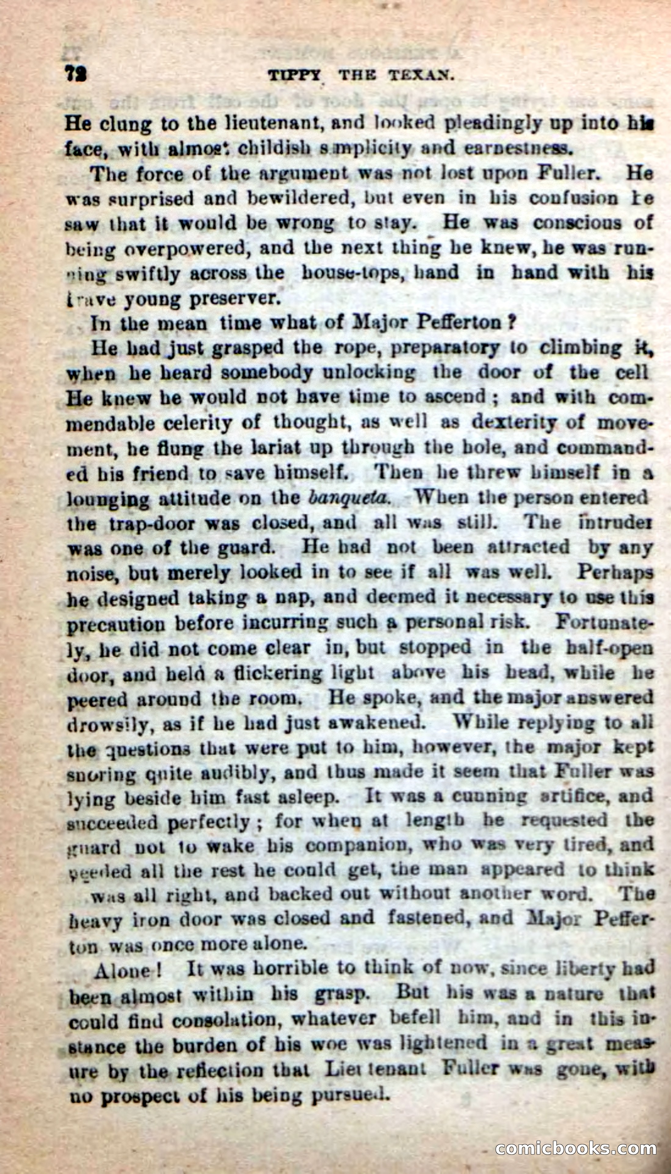 Beadle's New Dime Novels: Tippy, the Texan — page 69 of 101