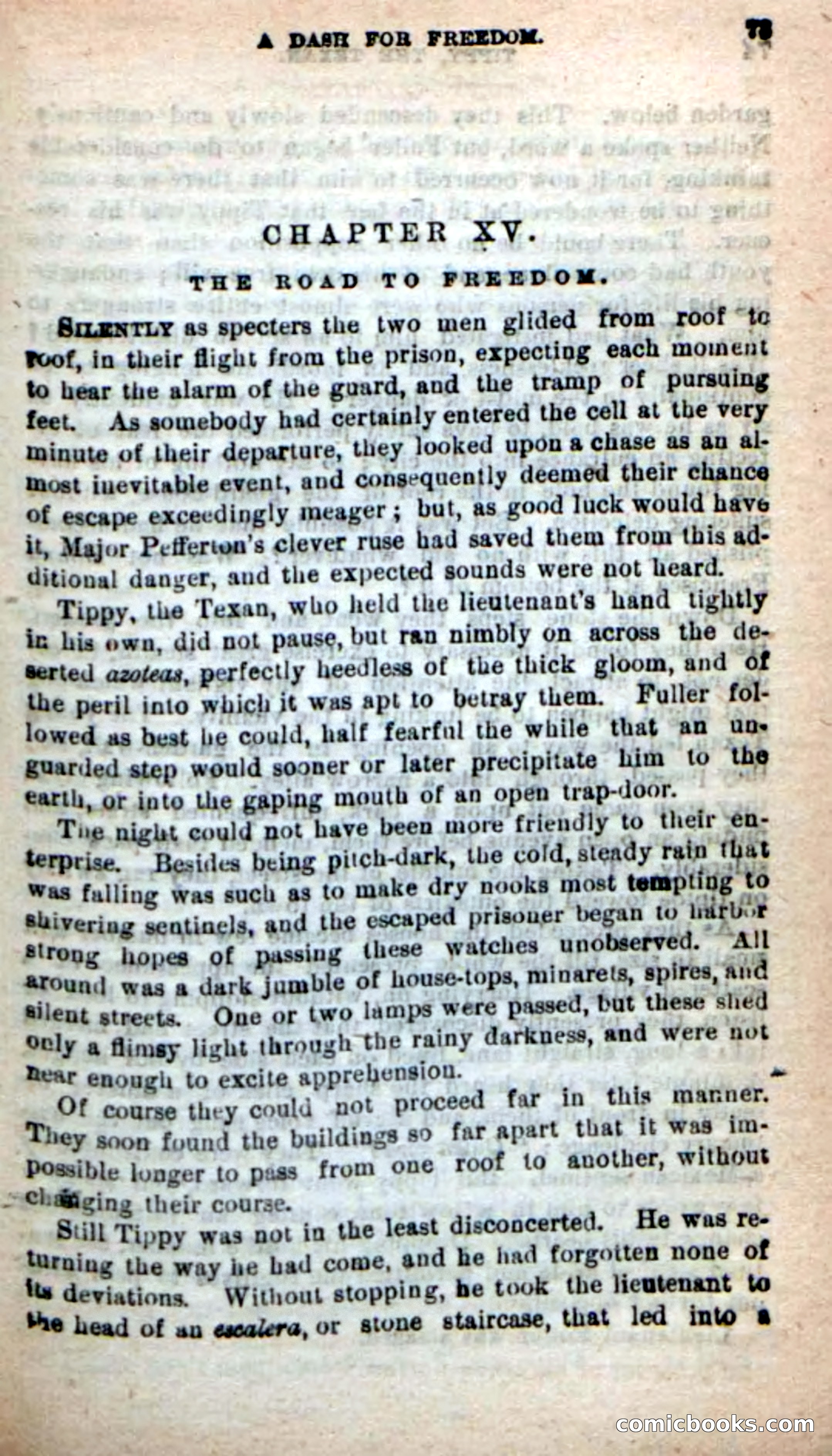 Beadle's New Dime Novels: Tippy, the Texan — page 70 of 101
