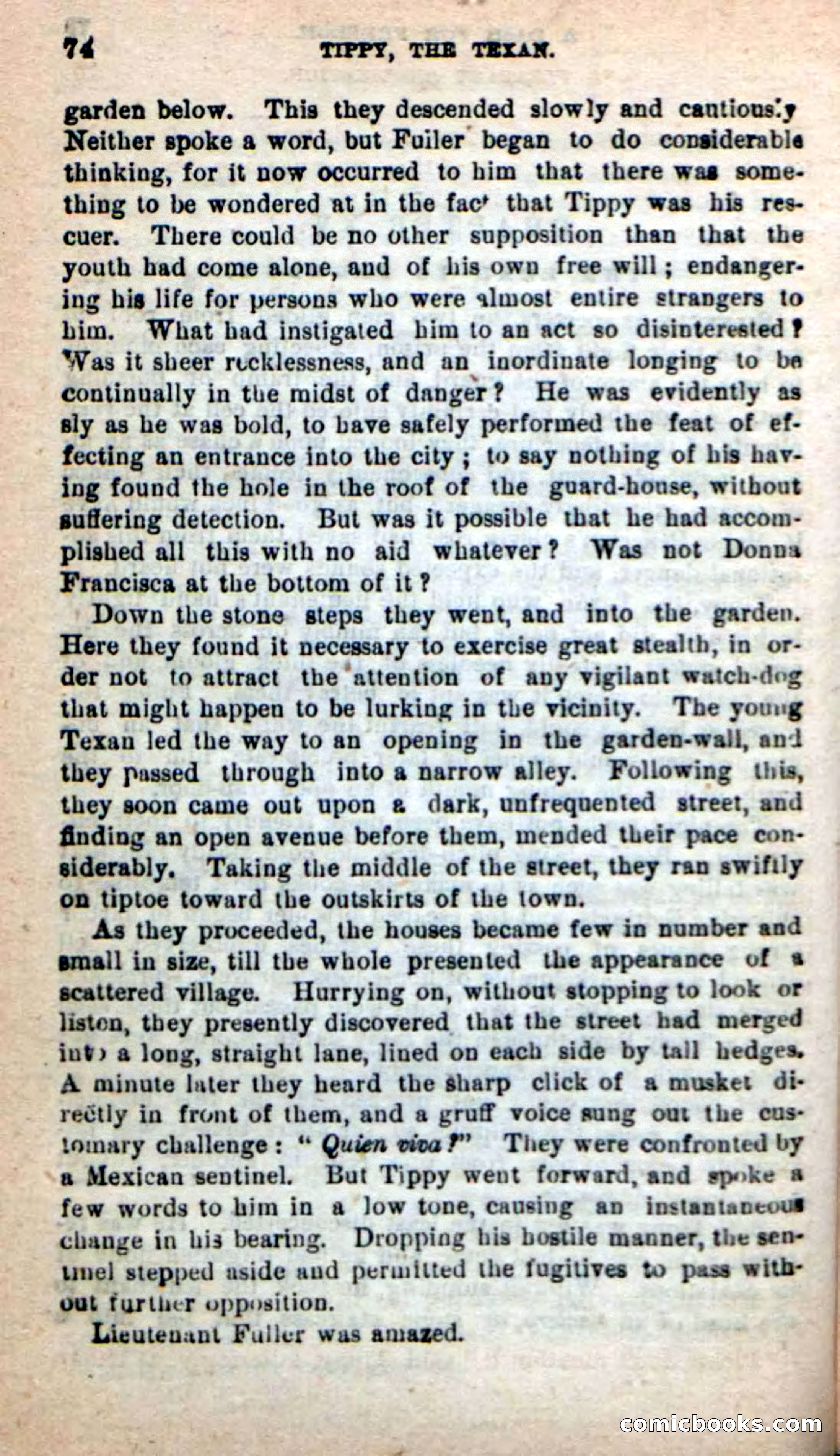 Beadle's New Dime Novels: Tippy, the Texan — page 71 of 101