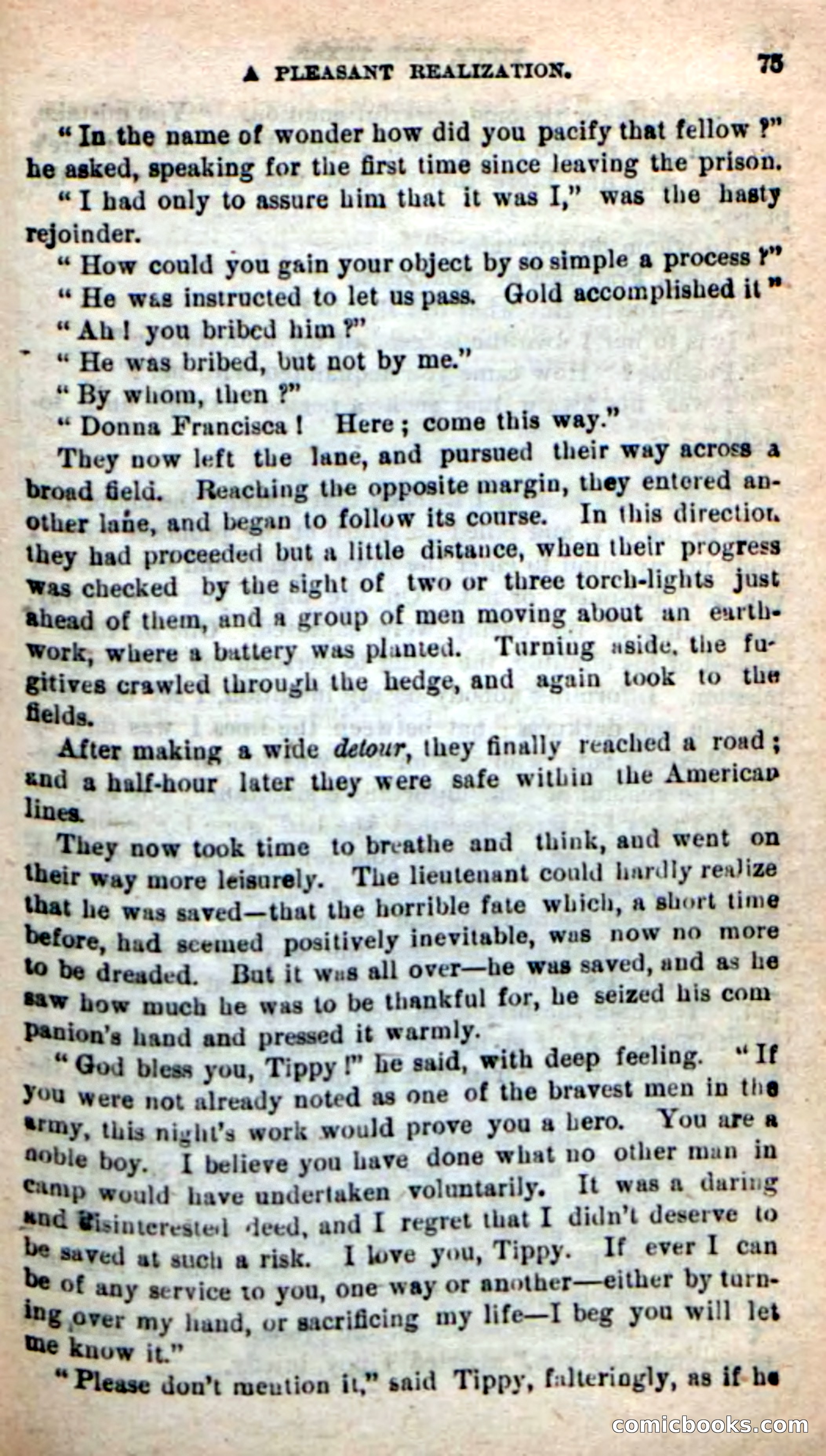 Beadle's New Dime Novels: Tippy, the Texan — page 72 of 101