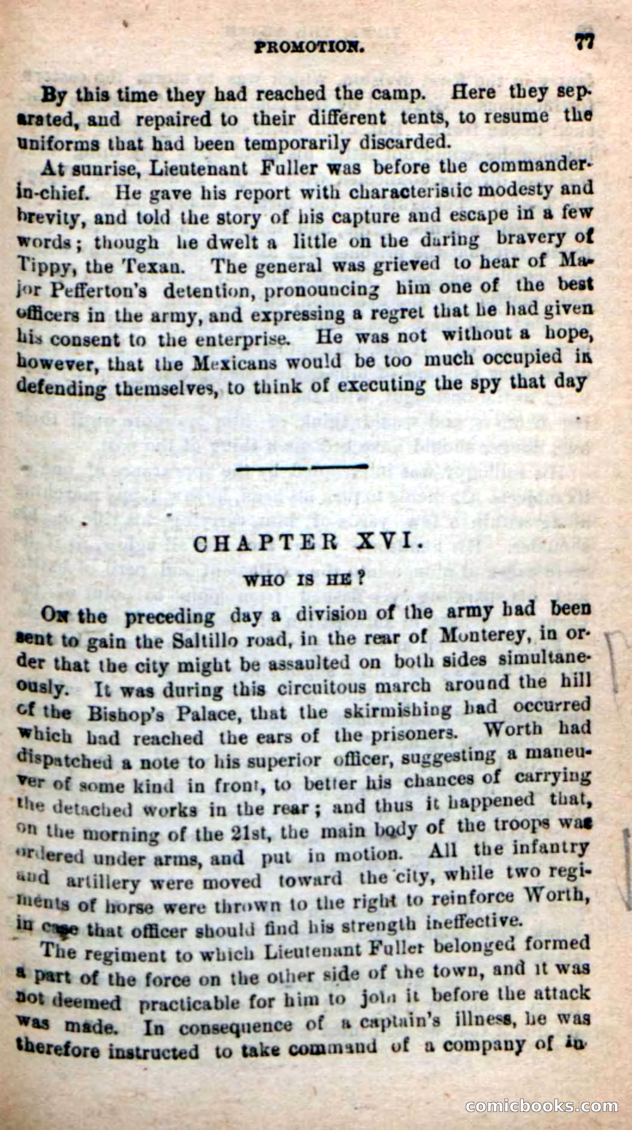 Beadle's New Dime Novels: Tippy, the Texan — page 74 of 101