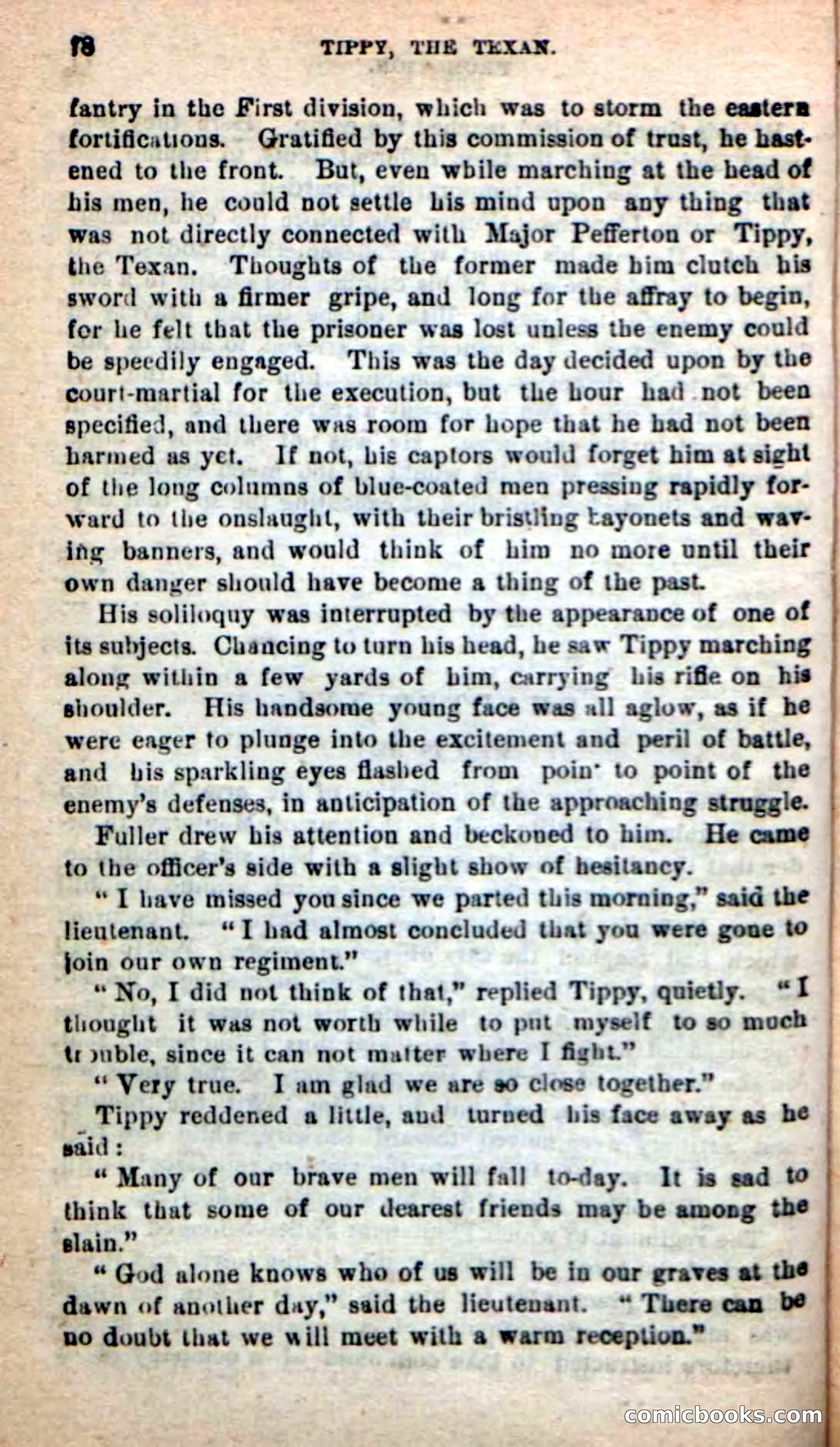 Beadle's New Dime Novels: Tippy, the Texan — page 75 of 101