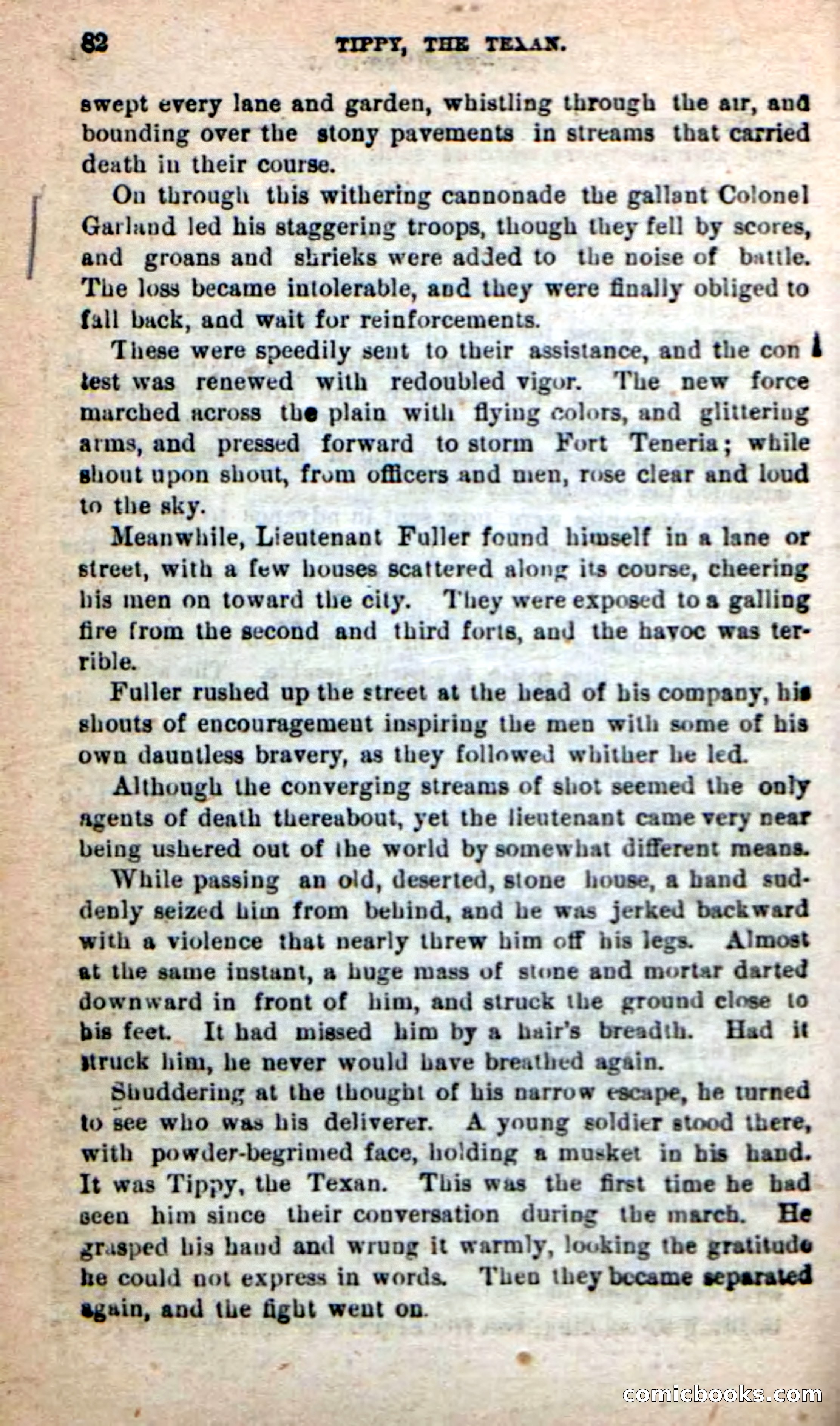 Beadle's New Dime Novels: Tippy, the Texan — page 79 of 101