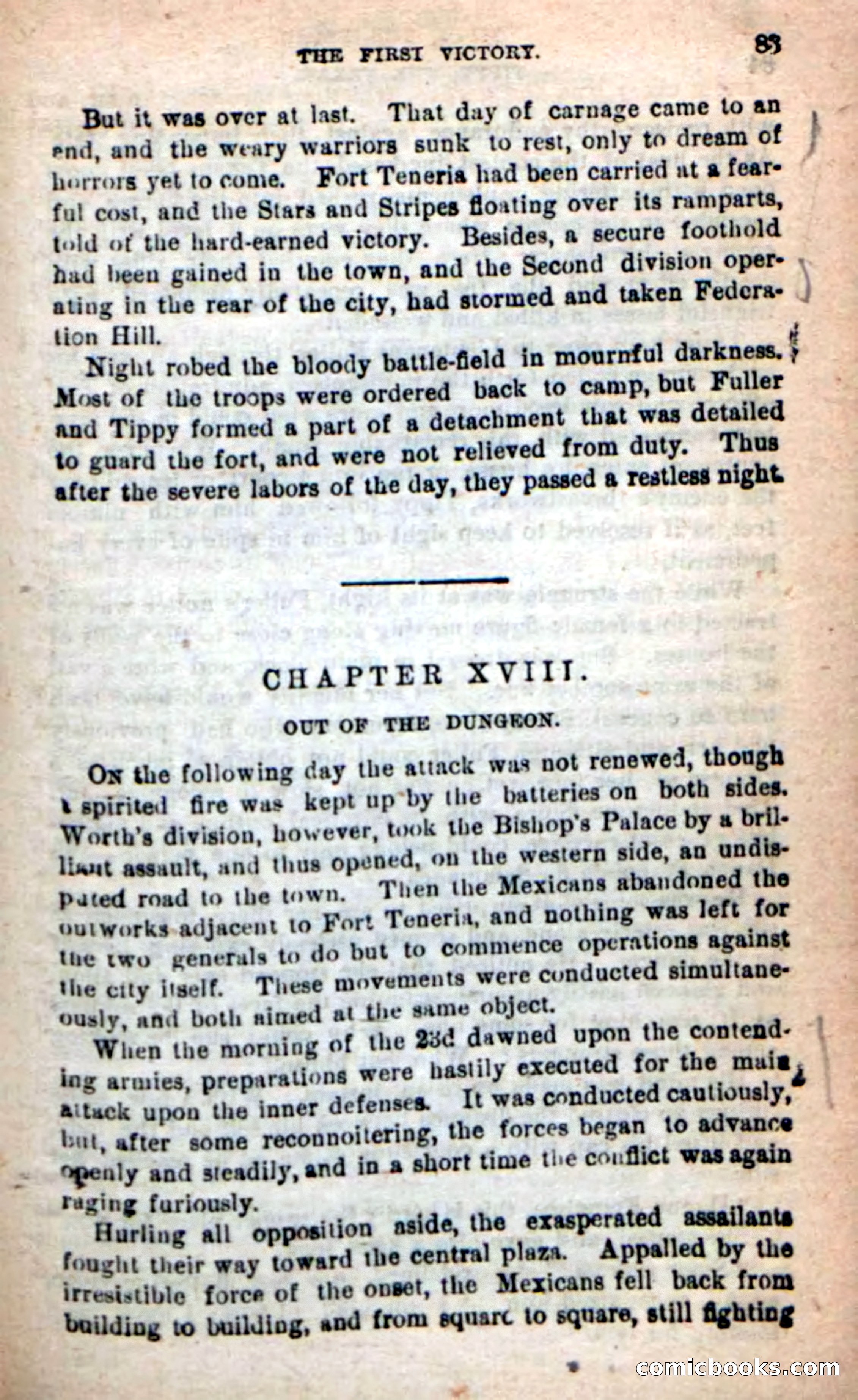 Beadle's New Dime Novels: Tippy, the Texan — page 80 of 101
