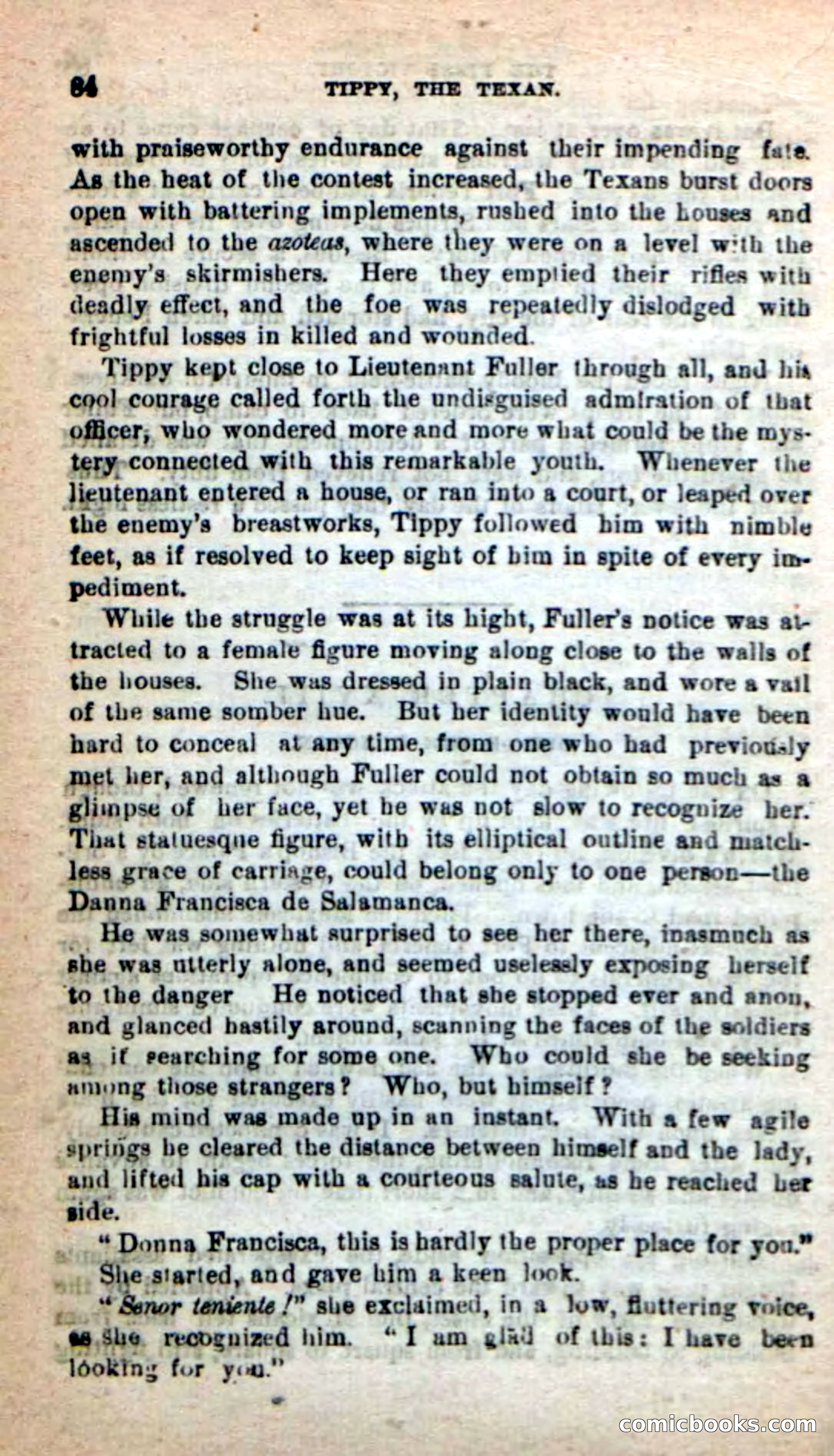 Beadle's New Dime Novels: Tippy, the Texan — page 81 of 101