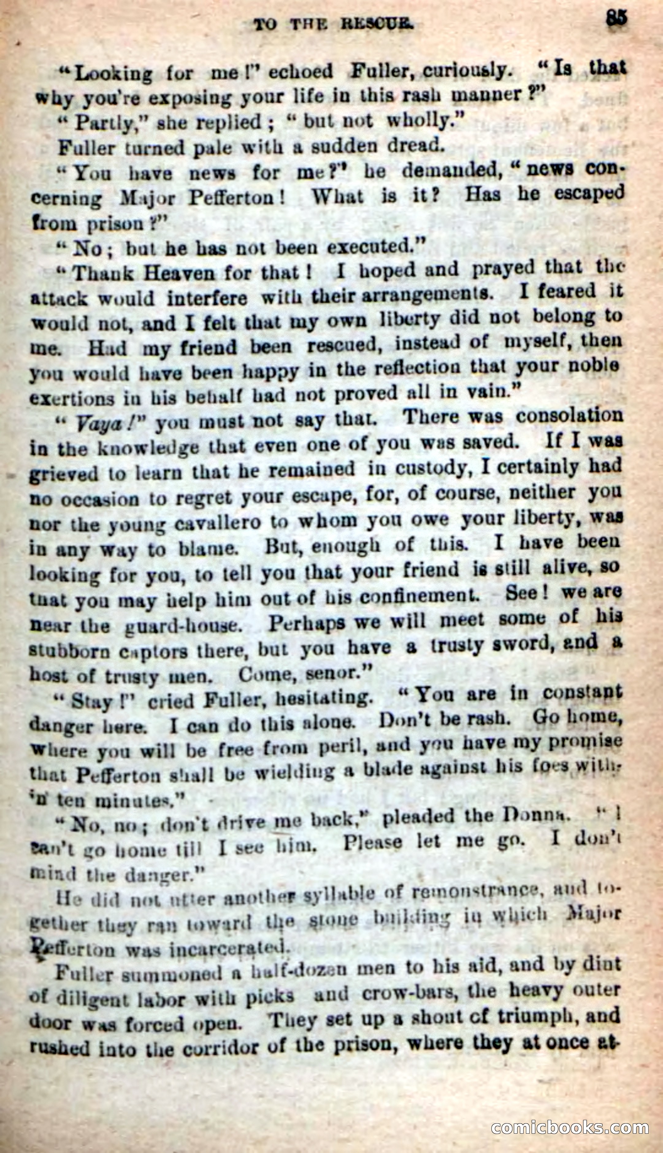 Beadle's New Dime Novels: Tippy, the Texan — page 82 of 101