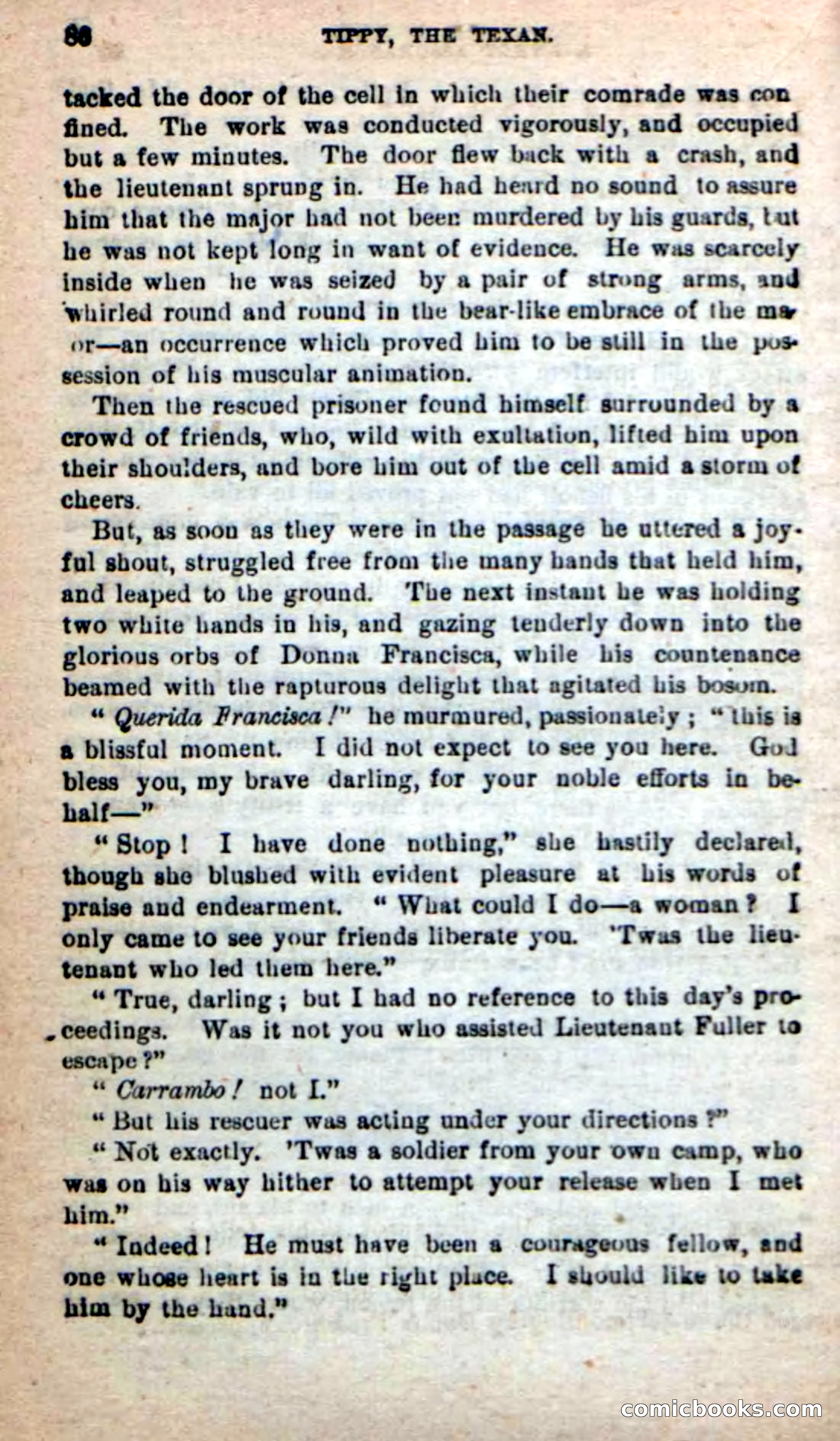Beadle's New Dime Novels: Tippy, the Texan — page 83 of 101