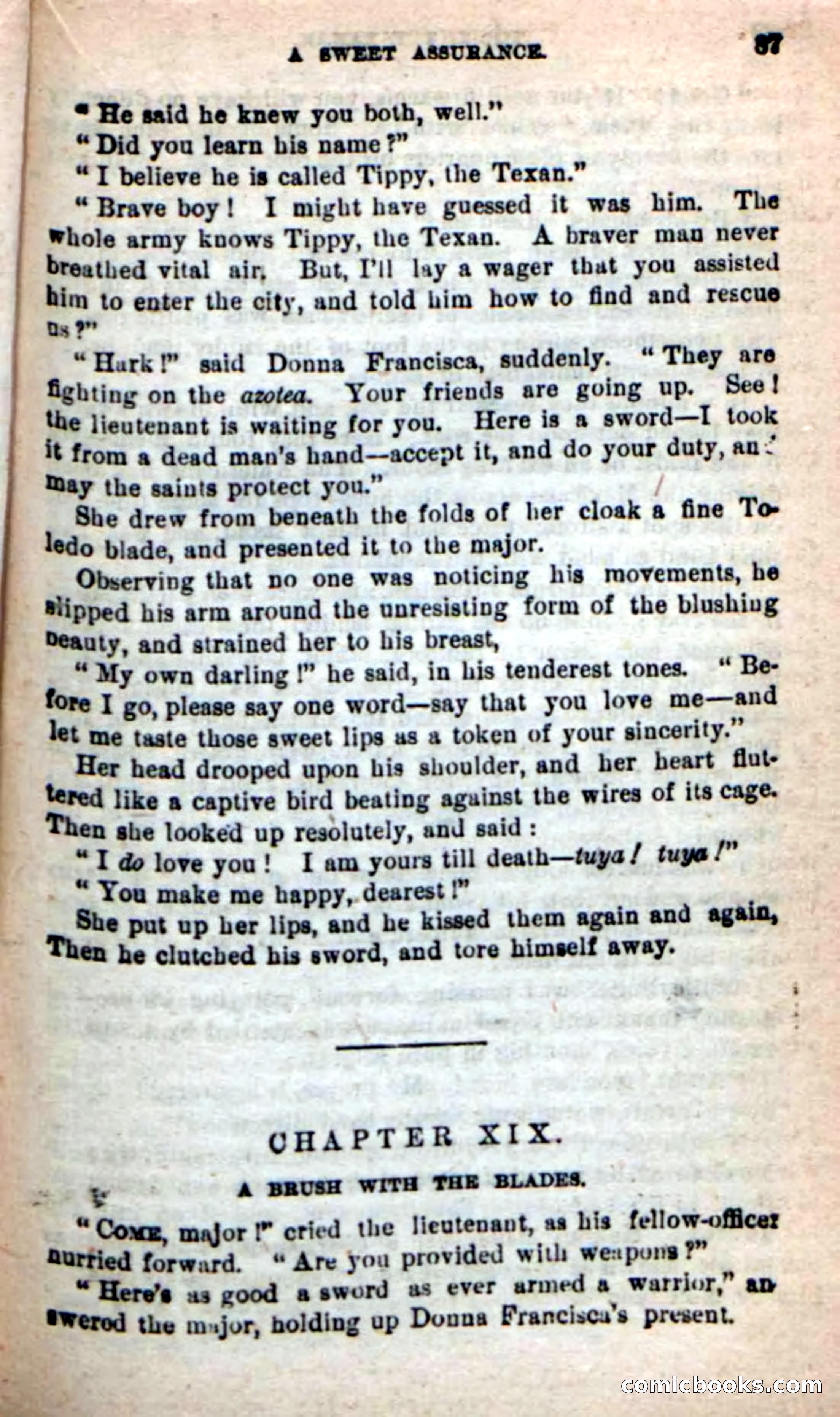 Beadle's New Dime Novels: Tippy, the Texan — page 84 of 101