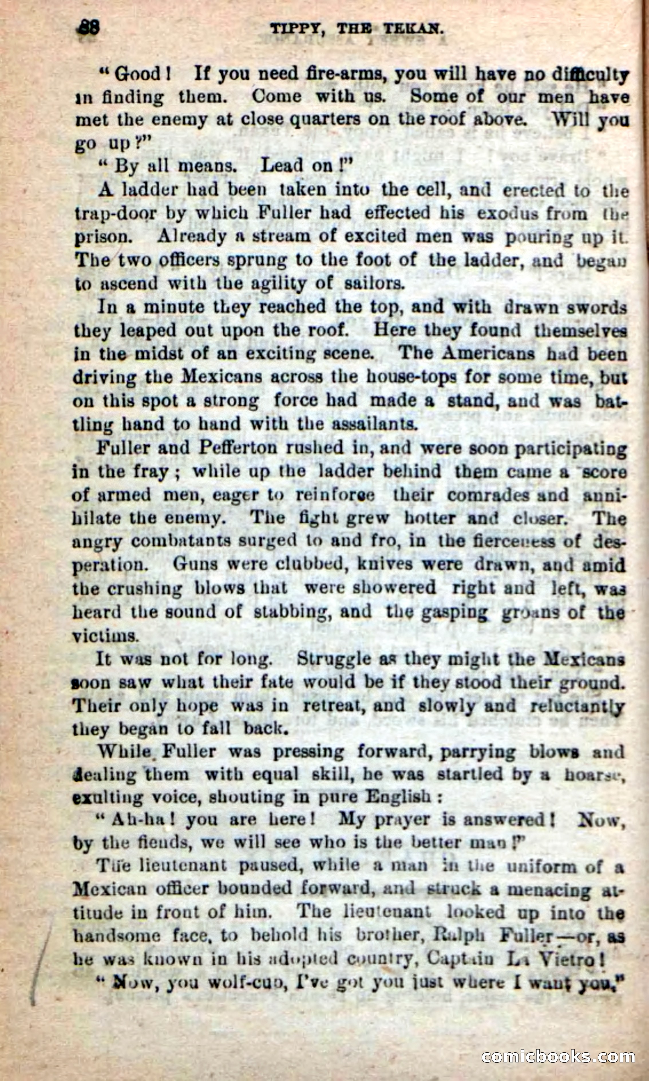 Beadle's New Dime Novels: Tippy, the Texan — page 85 of 101