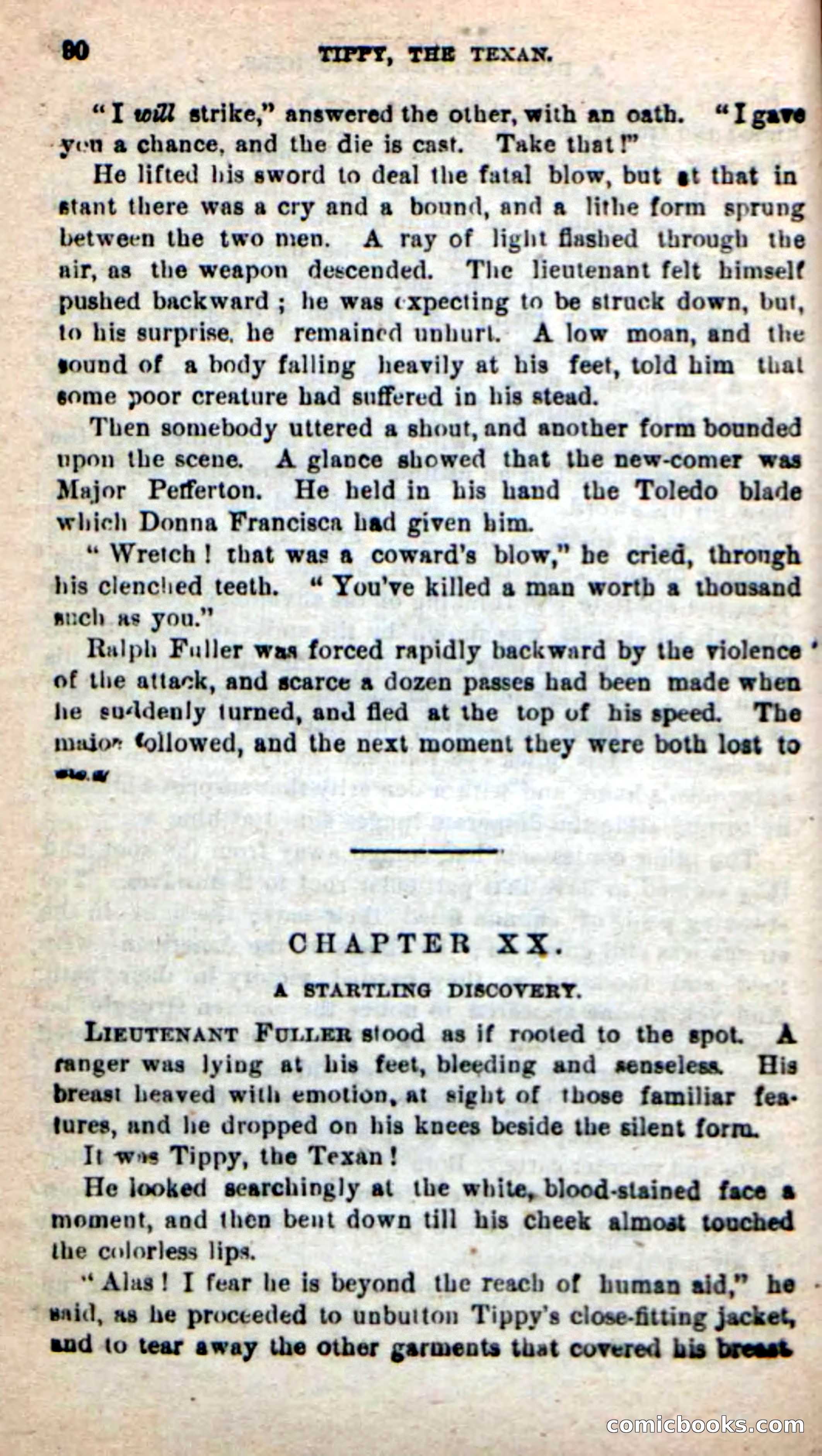 Beadle's New Dime Novels: Tippy, the Texan — page 87 of 101