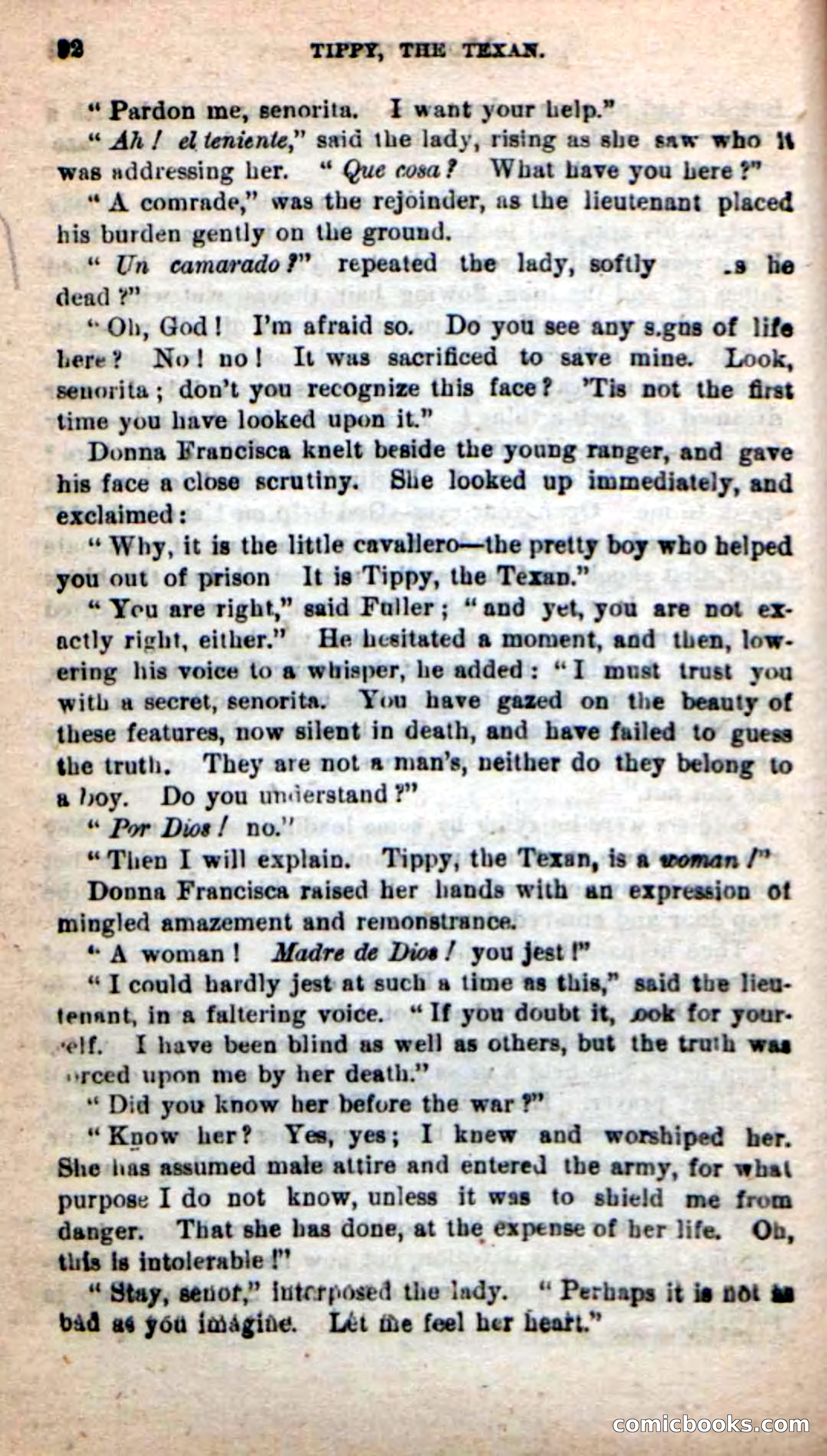 Beadle's New Dime Novels: Tippy, the Texan — page 89 of 101
