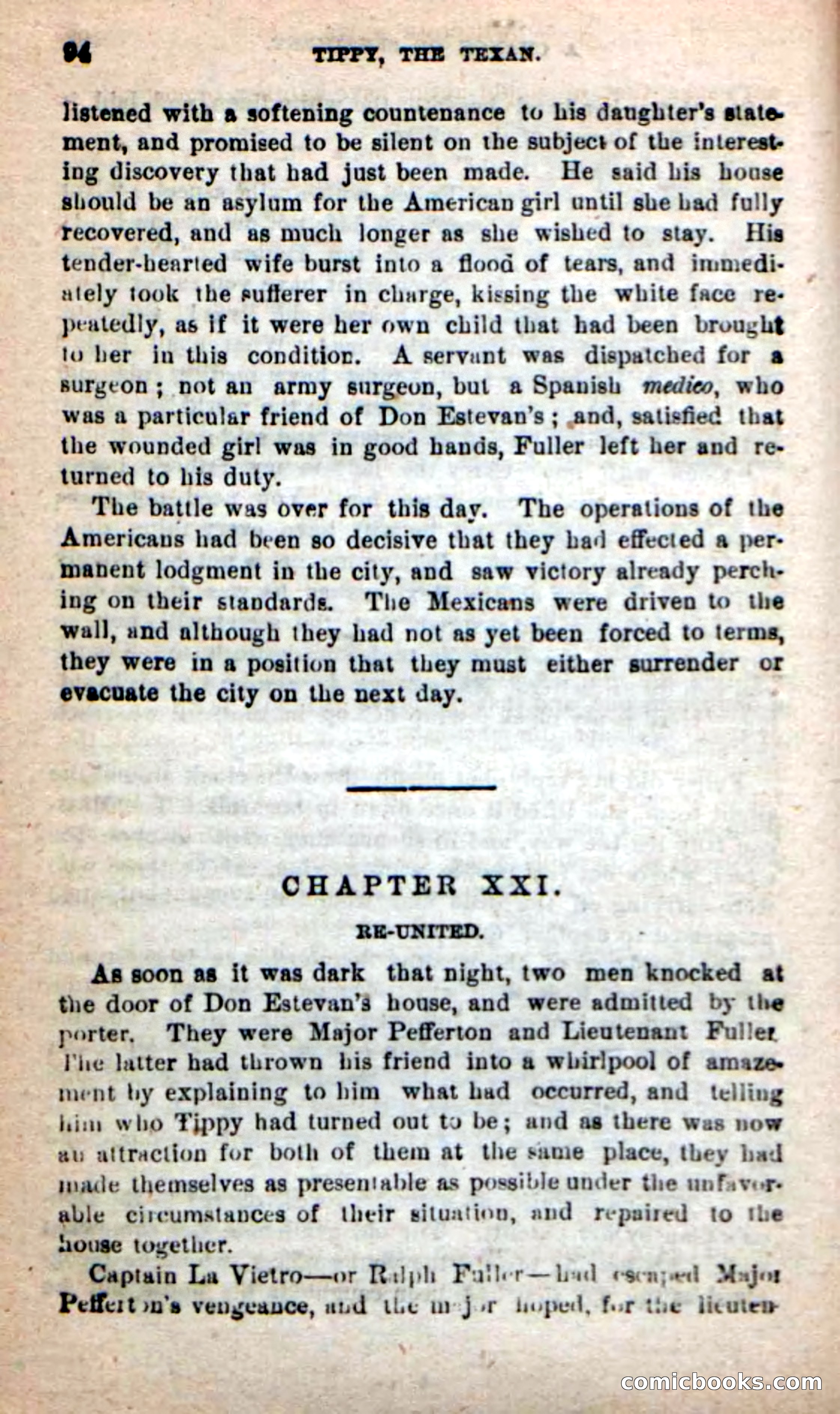 Beadle's New Dime Novels: Tippy, the Texan — page 91 of 101