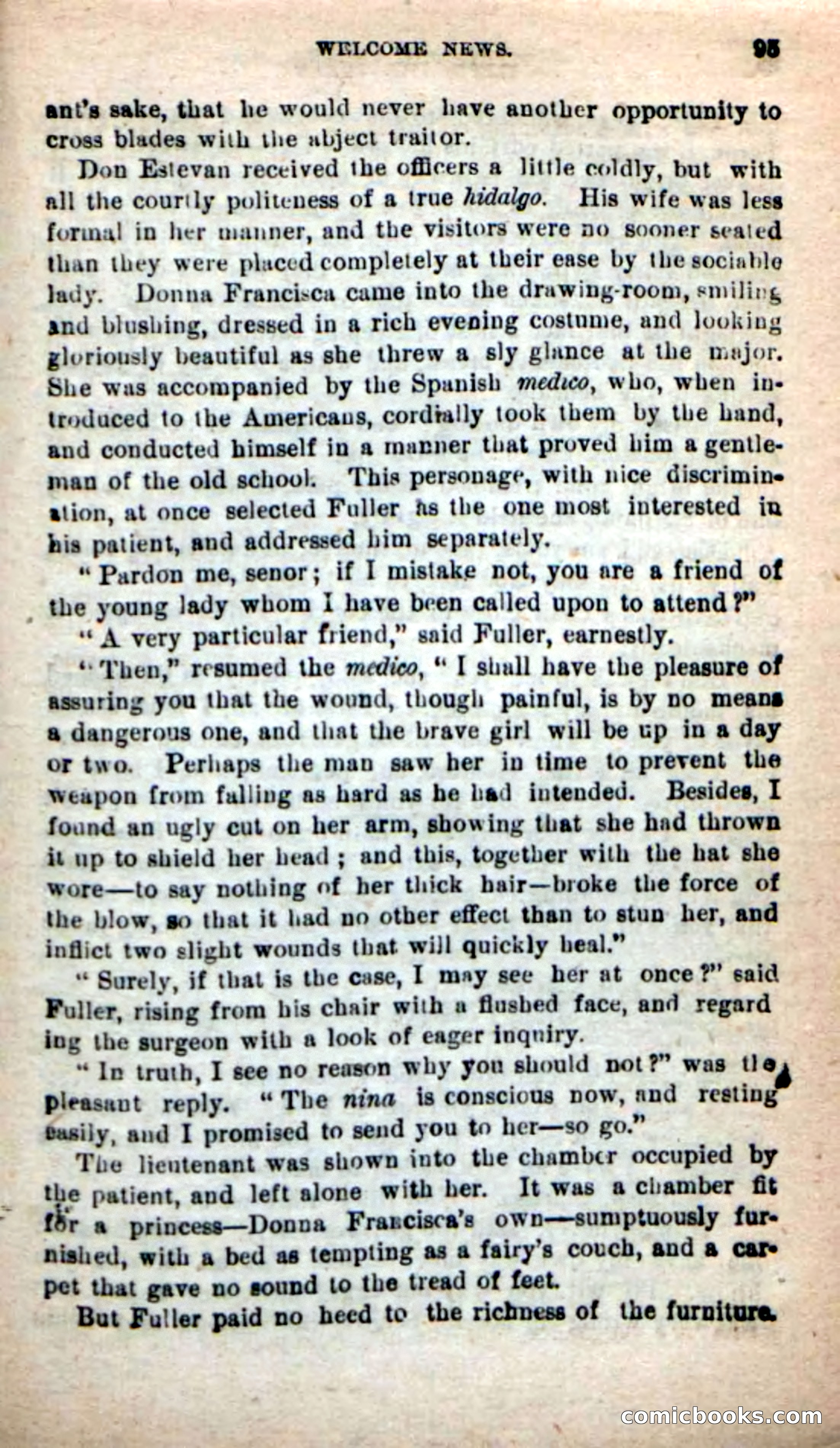 Beadle's New Dime Novels: Tippy, the Texan — page 92 of 101