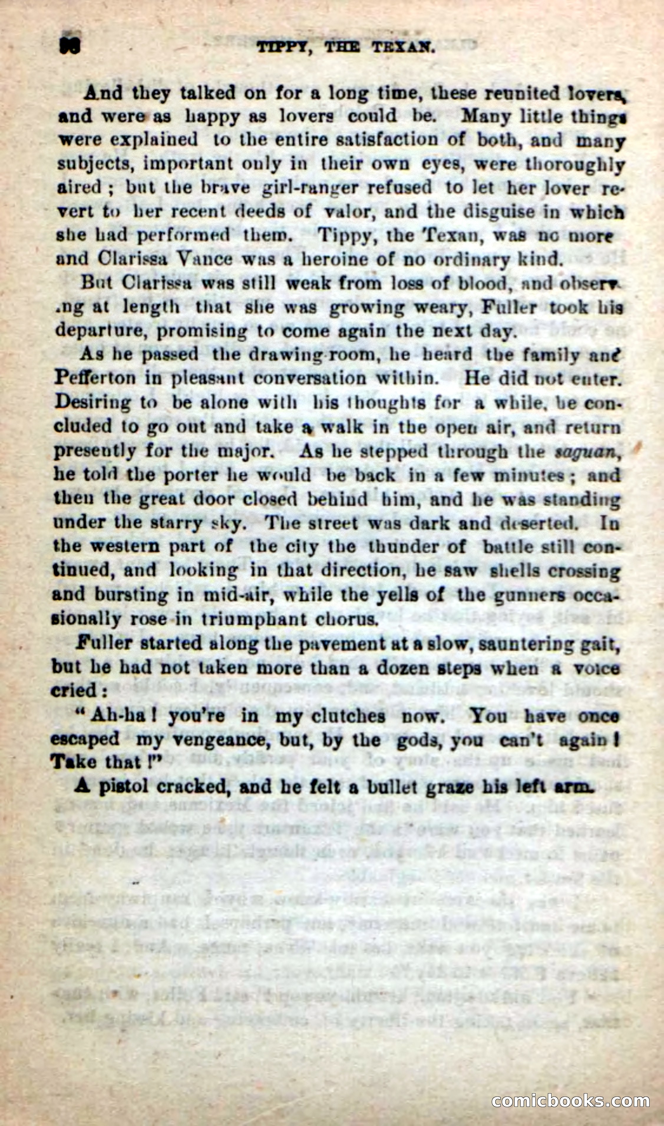 Beadle's New Dime Novels: Tippy, the Texan — page 95 of 101