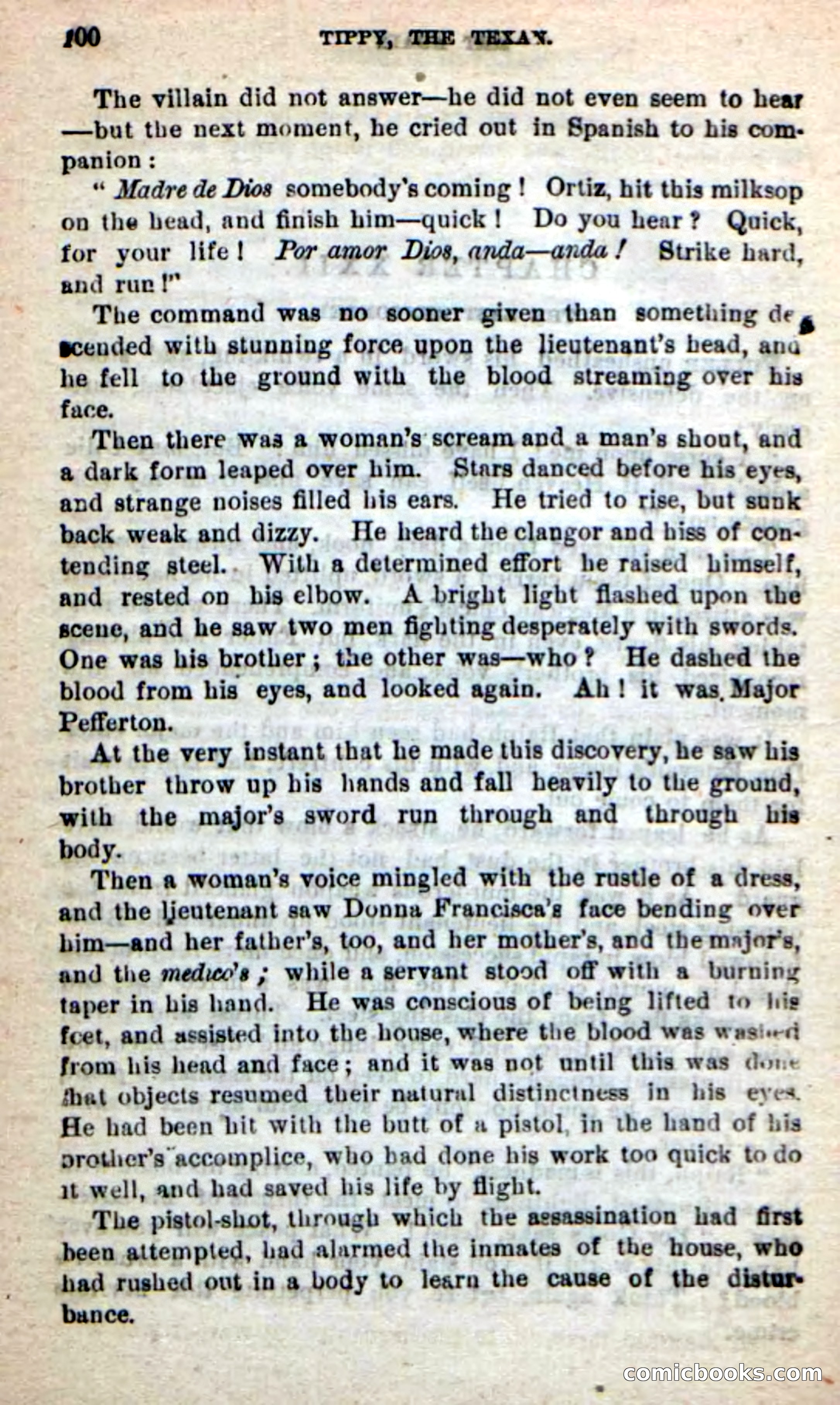 Beadle's New Dime Novels: Tippy, the Texan — page 97 of 101