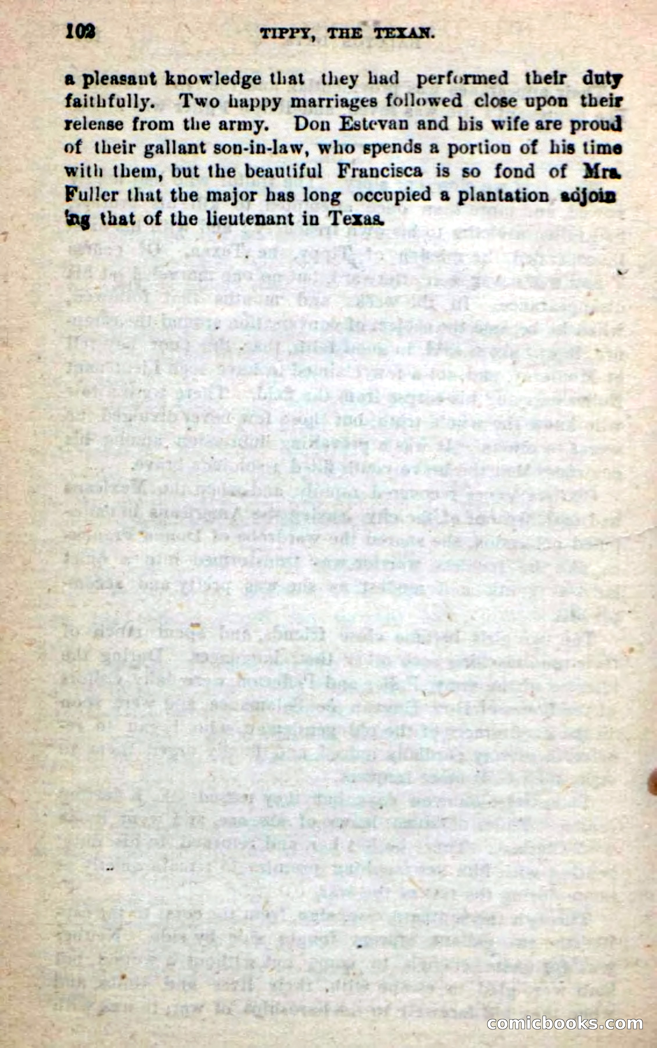 Beadle's New Dime Novels: Tippy, the Texan — page 99 of 101