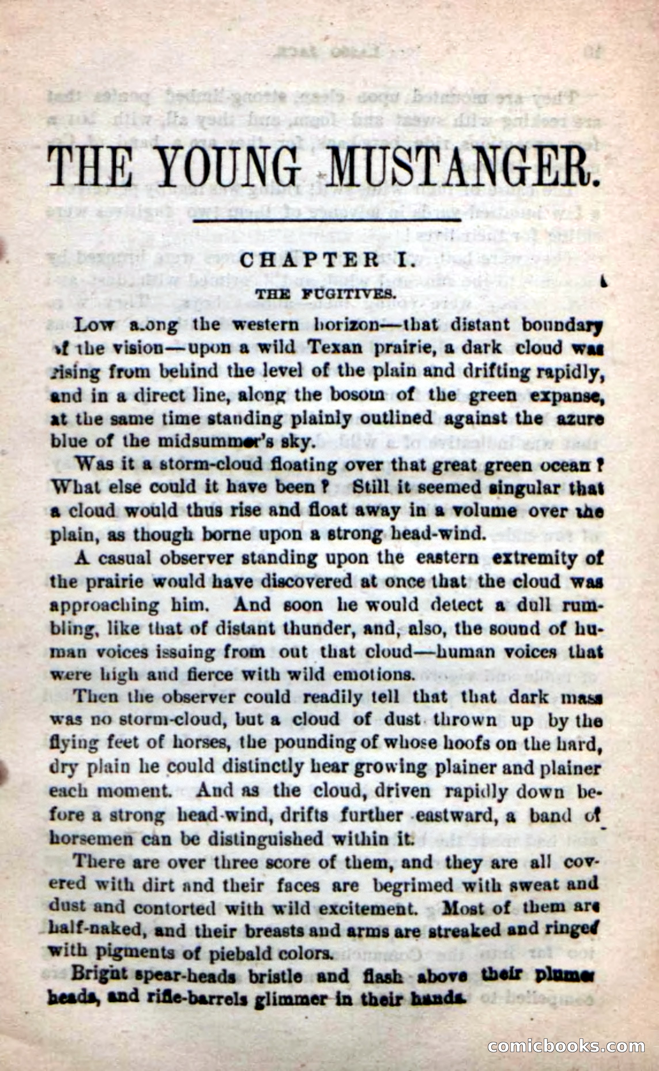 Beadle's New Dime Novels: The Young Mustanger — page 6 of 92