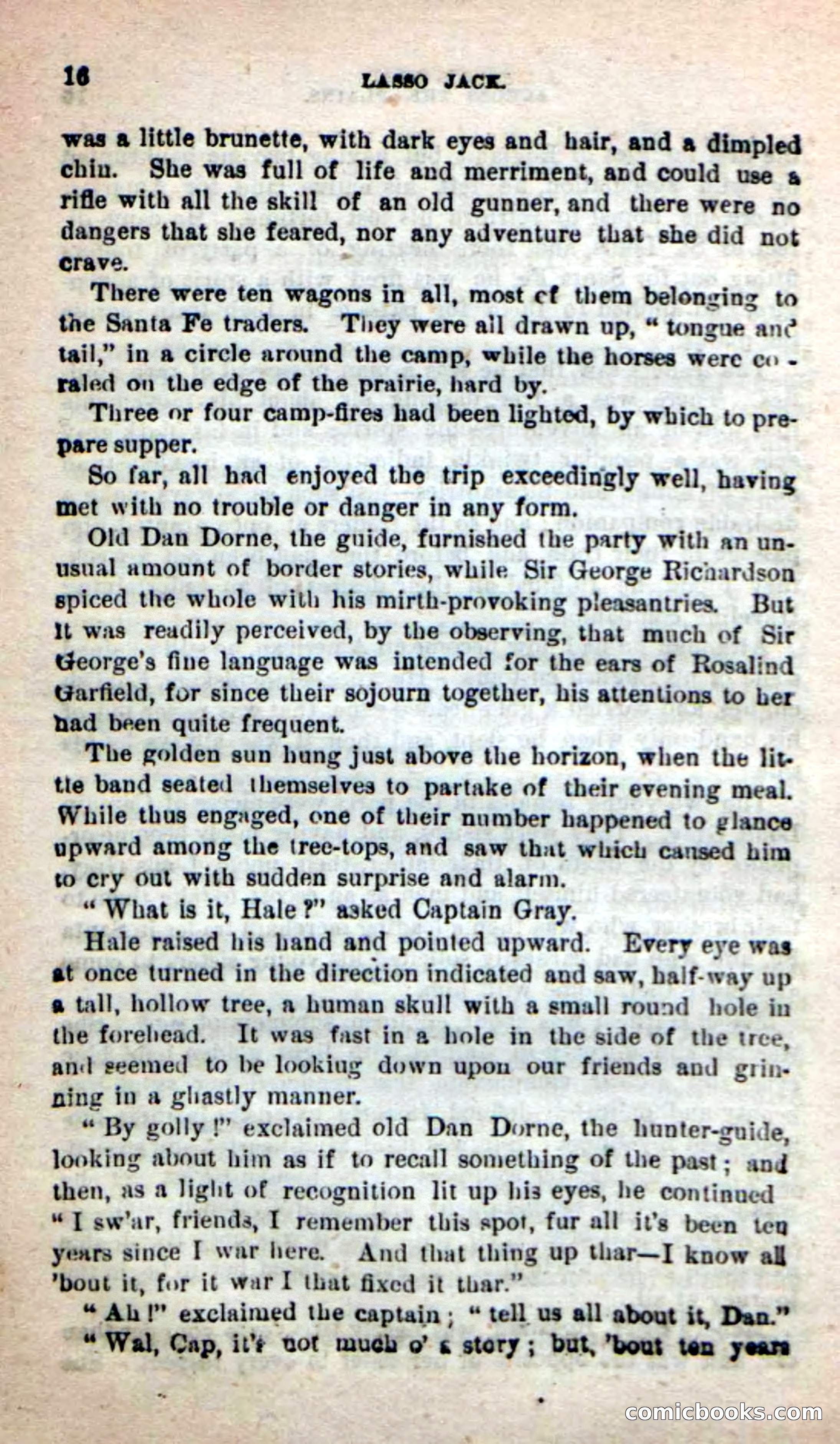 Beadle's New Dime Novels: The Young Mustanger — page 13 of 92