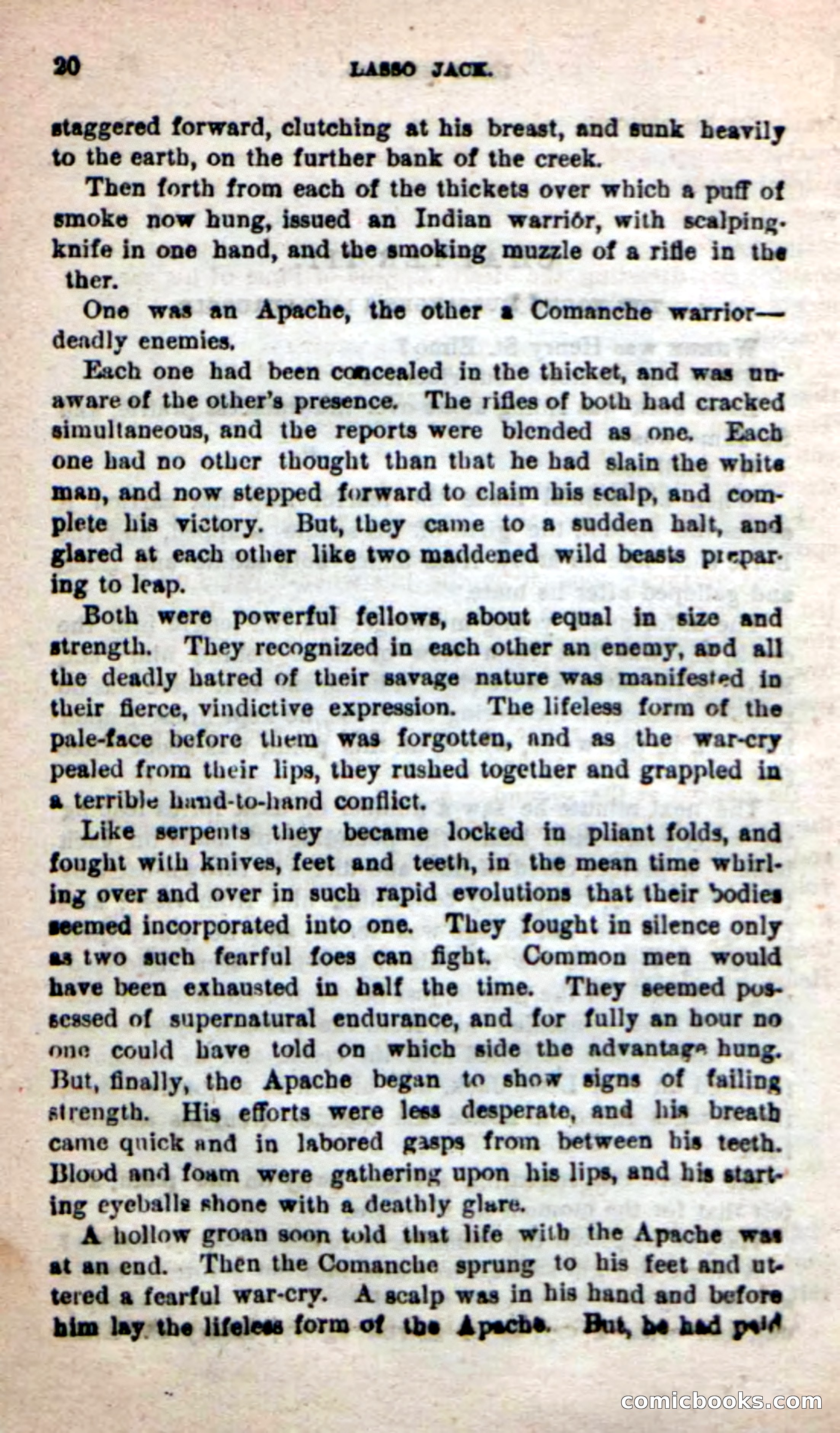Beadle's New Dime Novels: The Young Mustanger — page 17 of 92