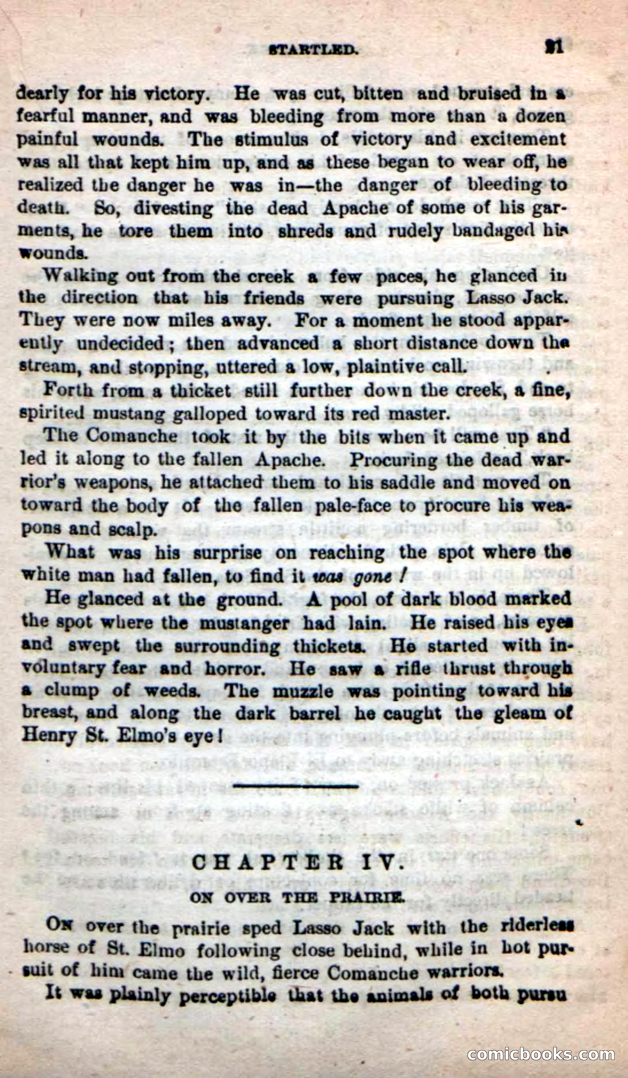 Beadle's New Dime Novels: The Young Mustanger — page 18 of 92