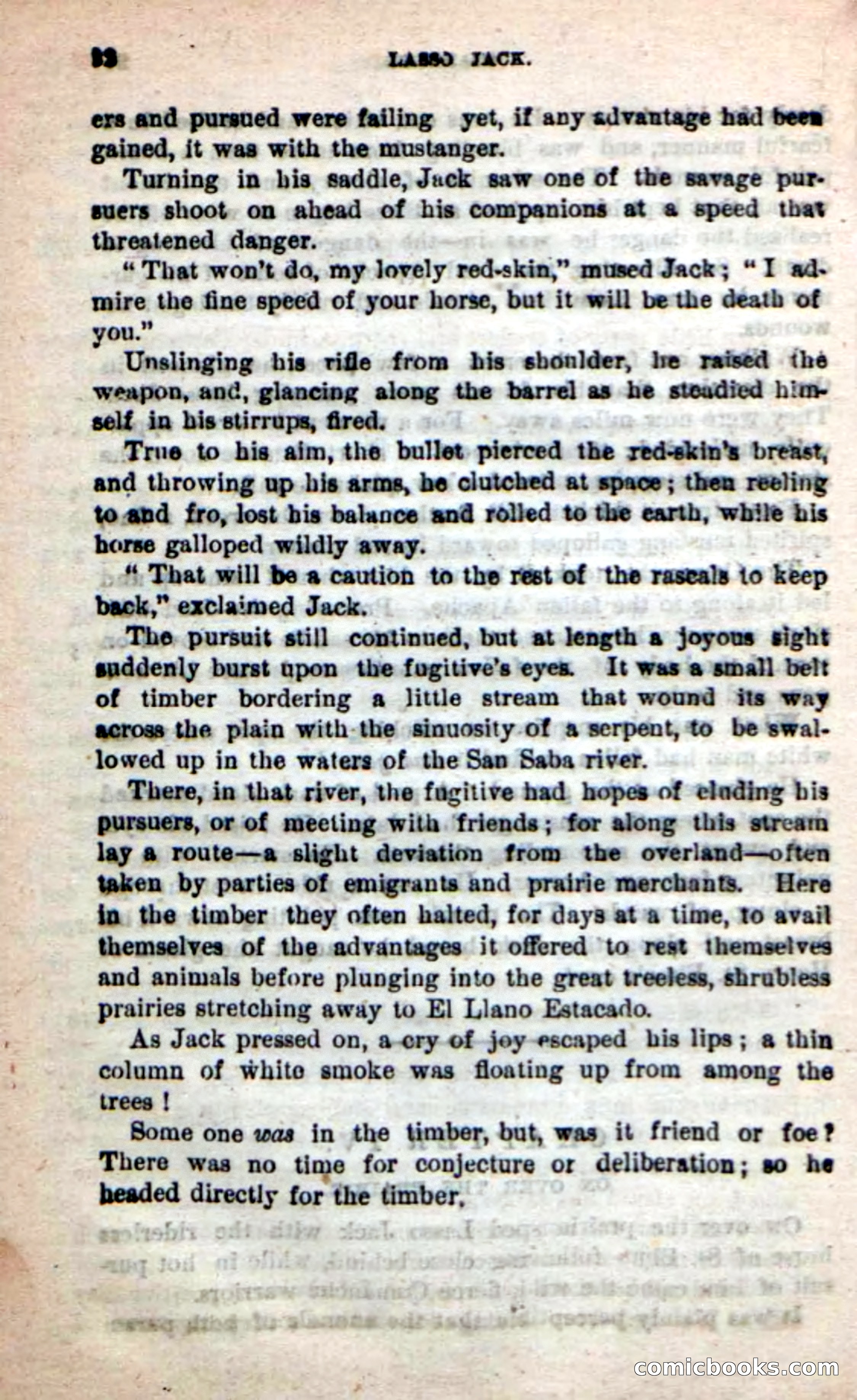 Beadle's New Dime Novels: The Young Mustanger — page 19 of 92