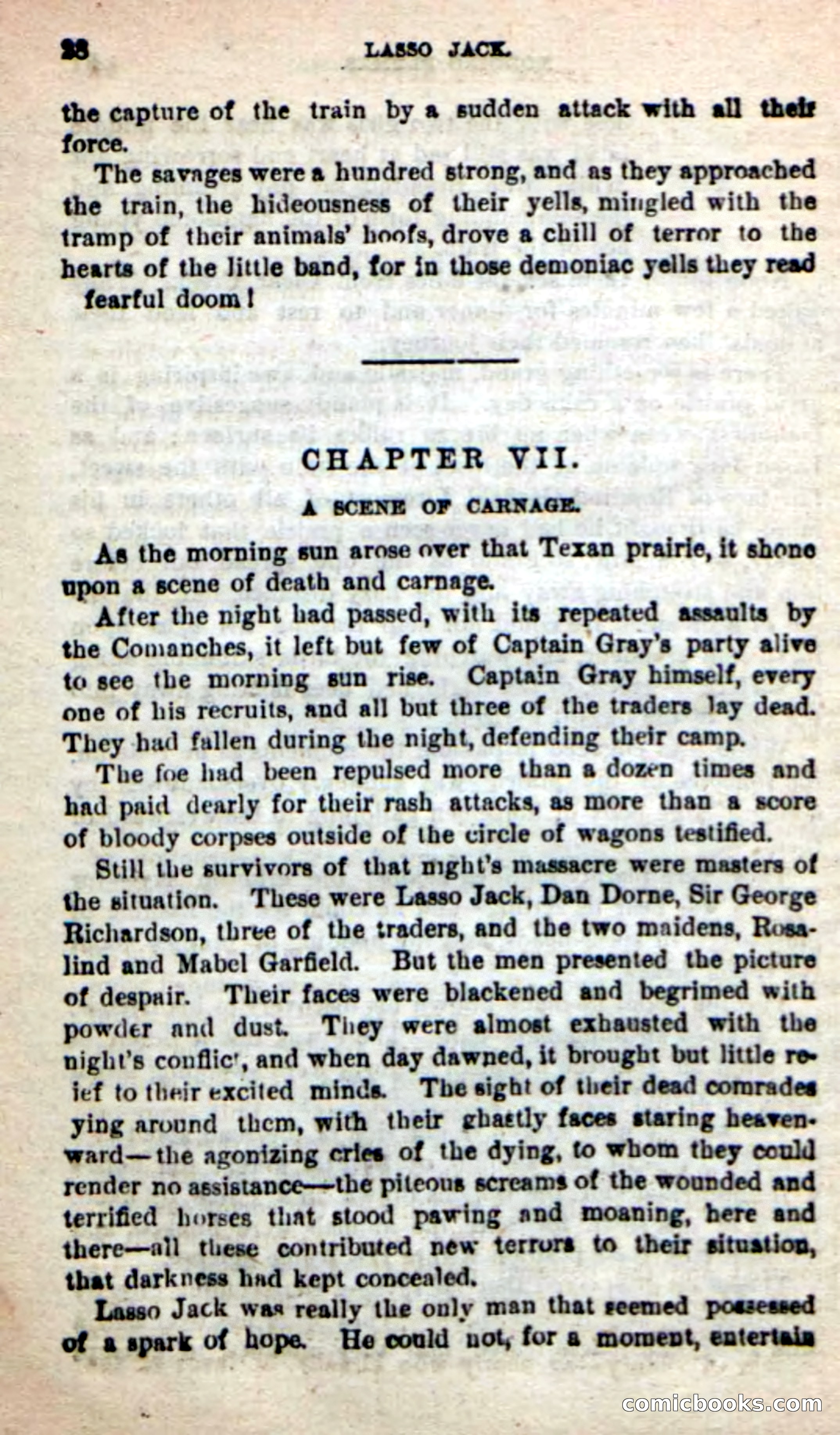 Beadle's New Dime Novels: The Young Mustanger — page 25 of 92
