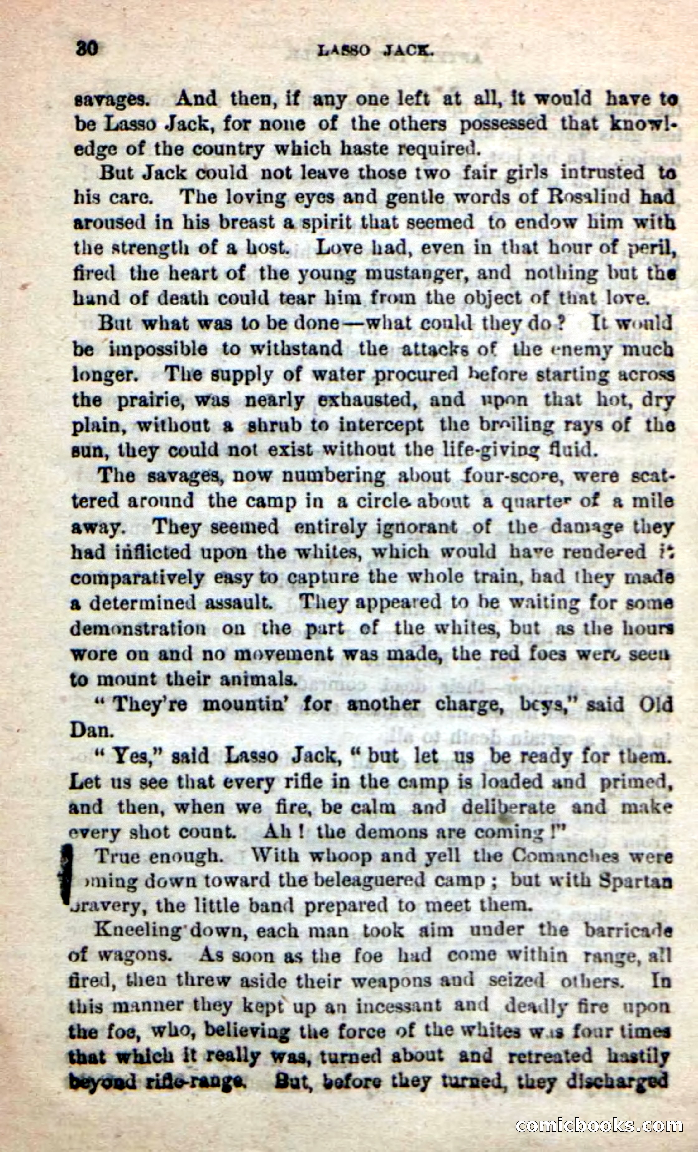 Beadle's New Dime Novels: The Young Mustanger — page 27 of 92