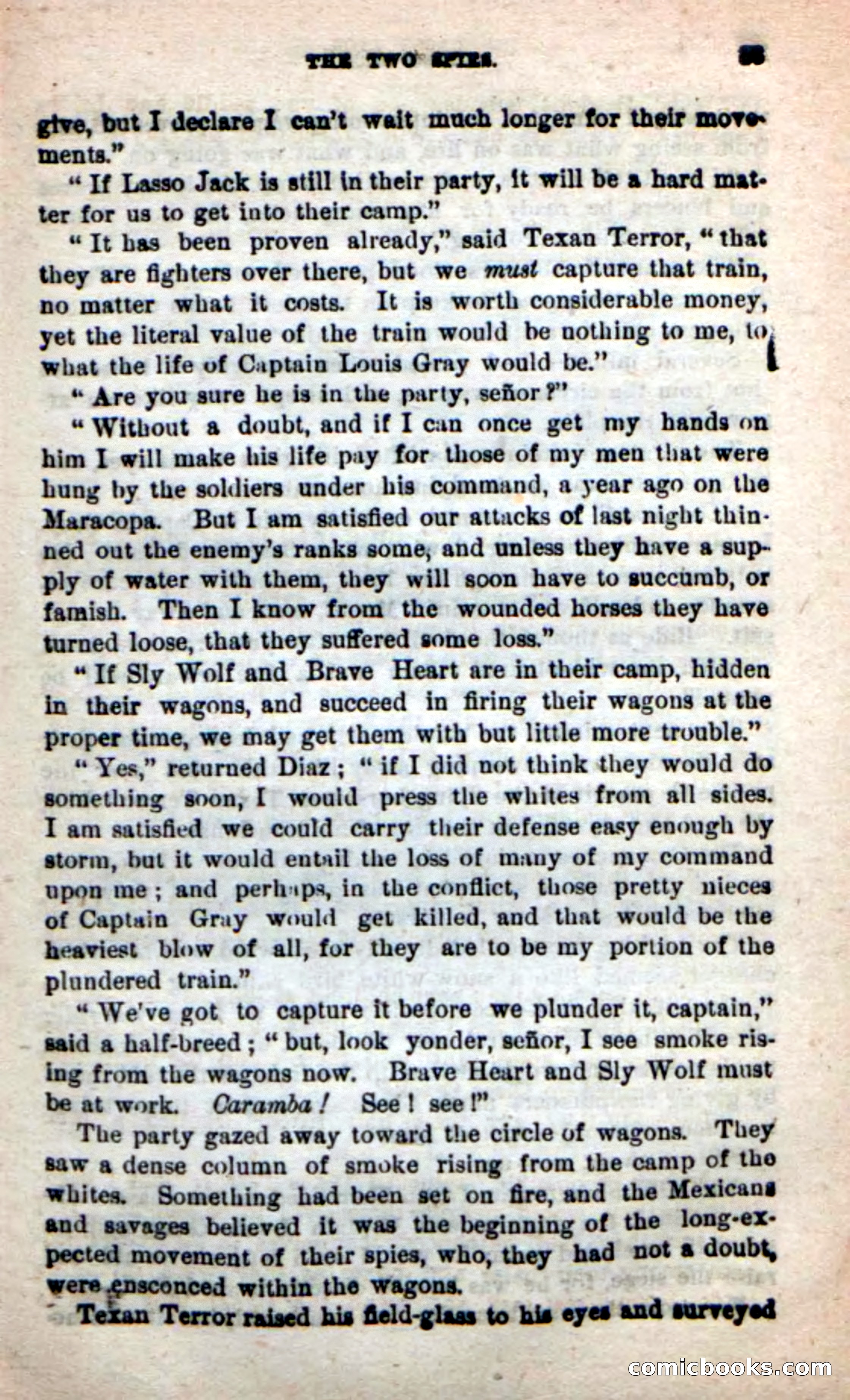 Beadle's New Dime Novels: The Young Mustanger — page 30 of 92
